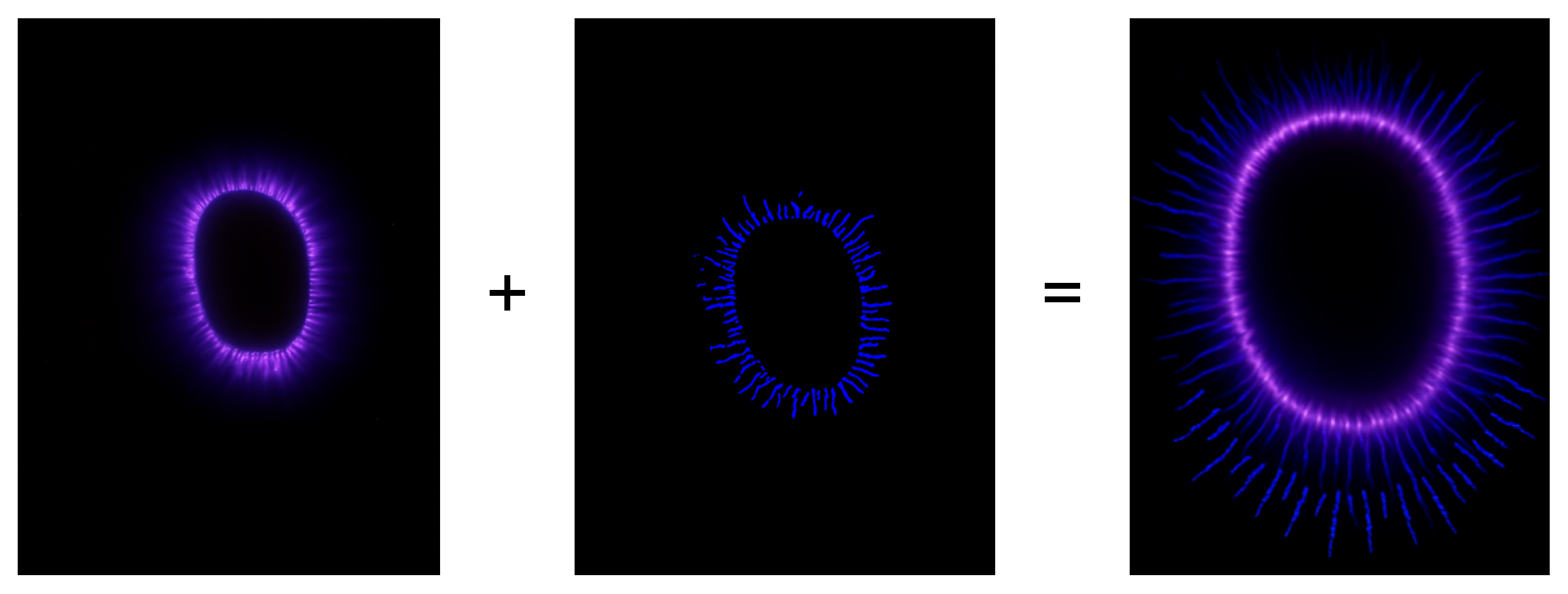 Preprints 193443 g003