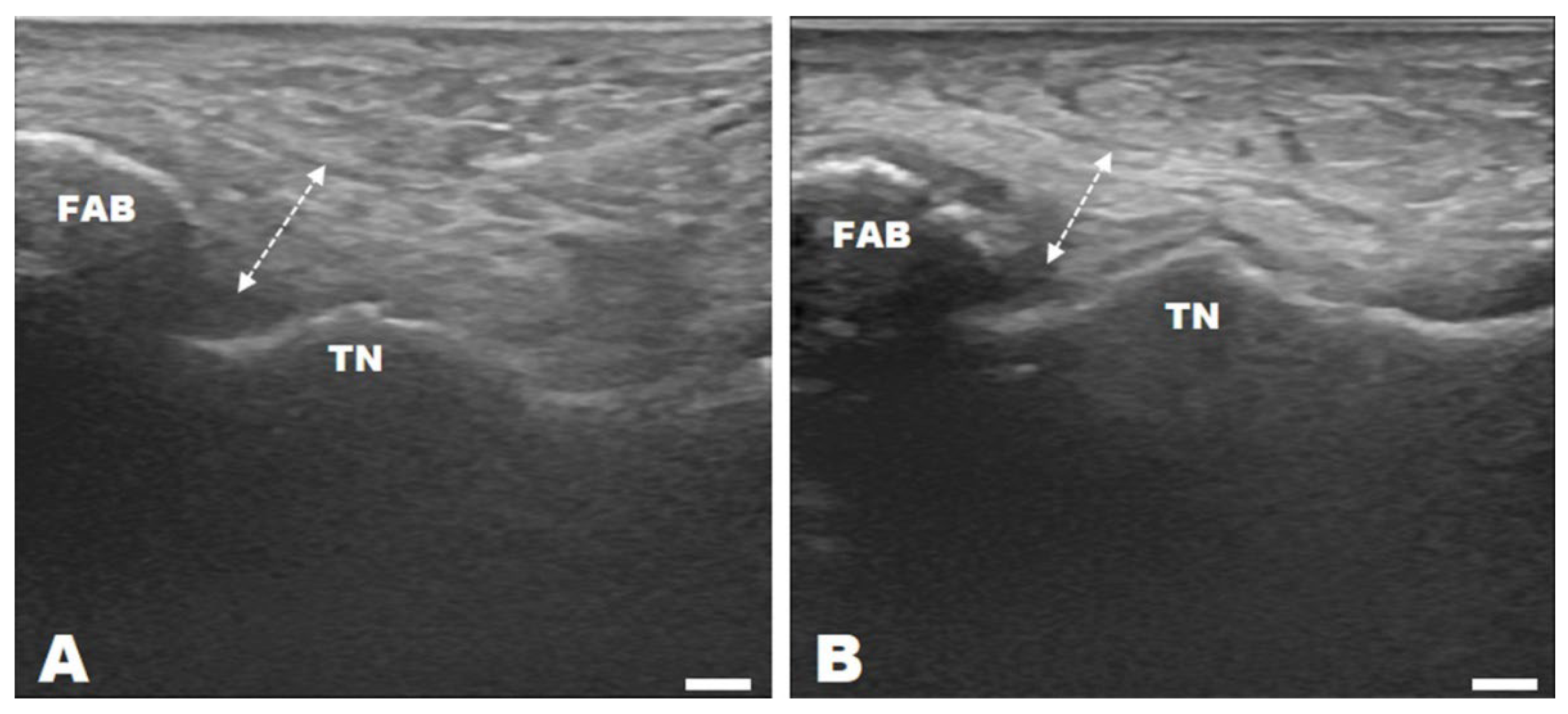 Preprints 95434 g002