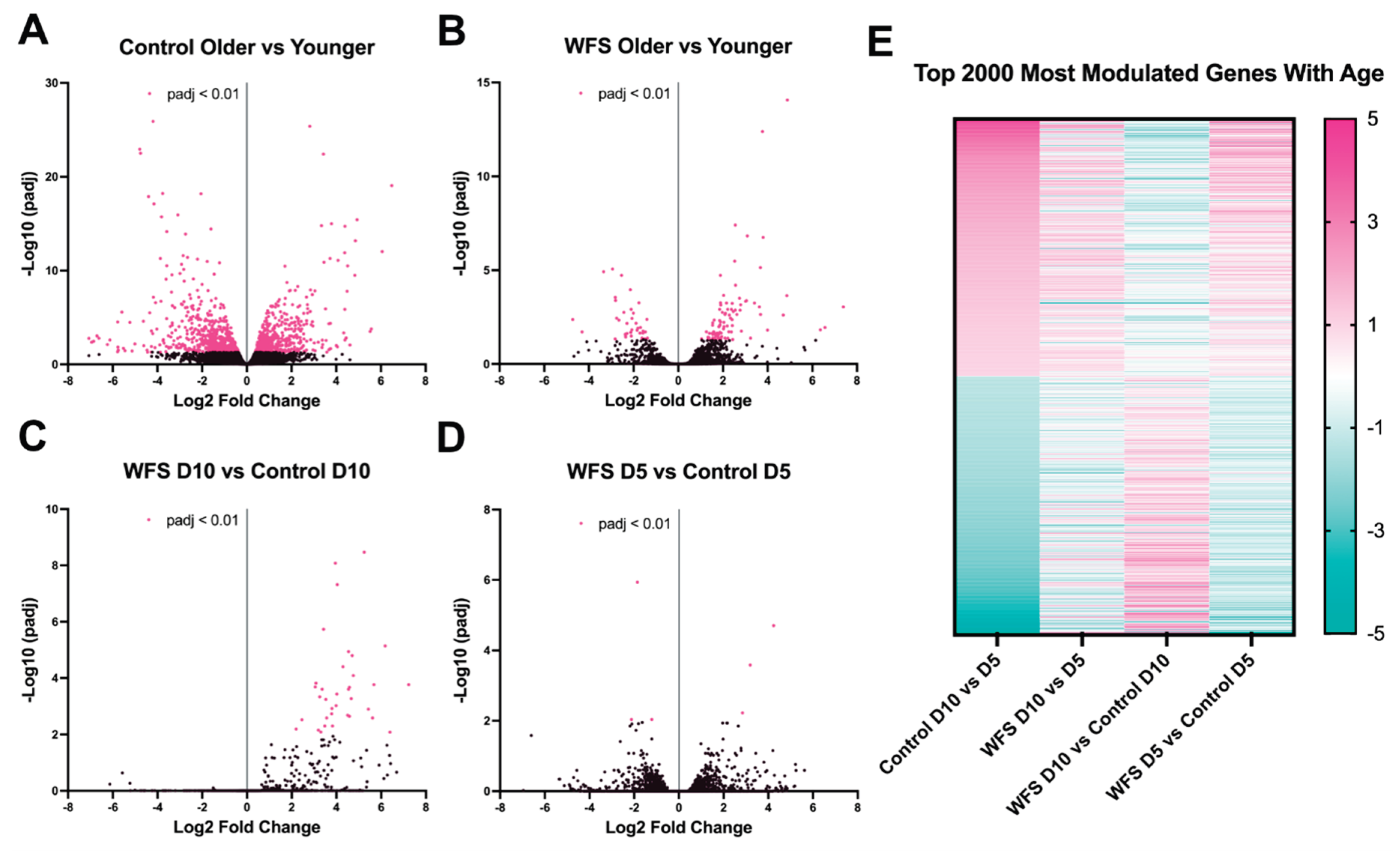 Preprints 224590 g004