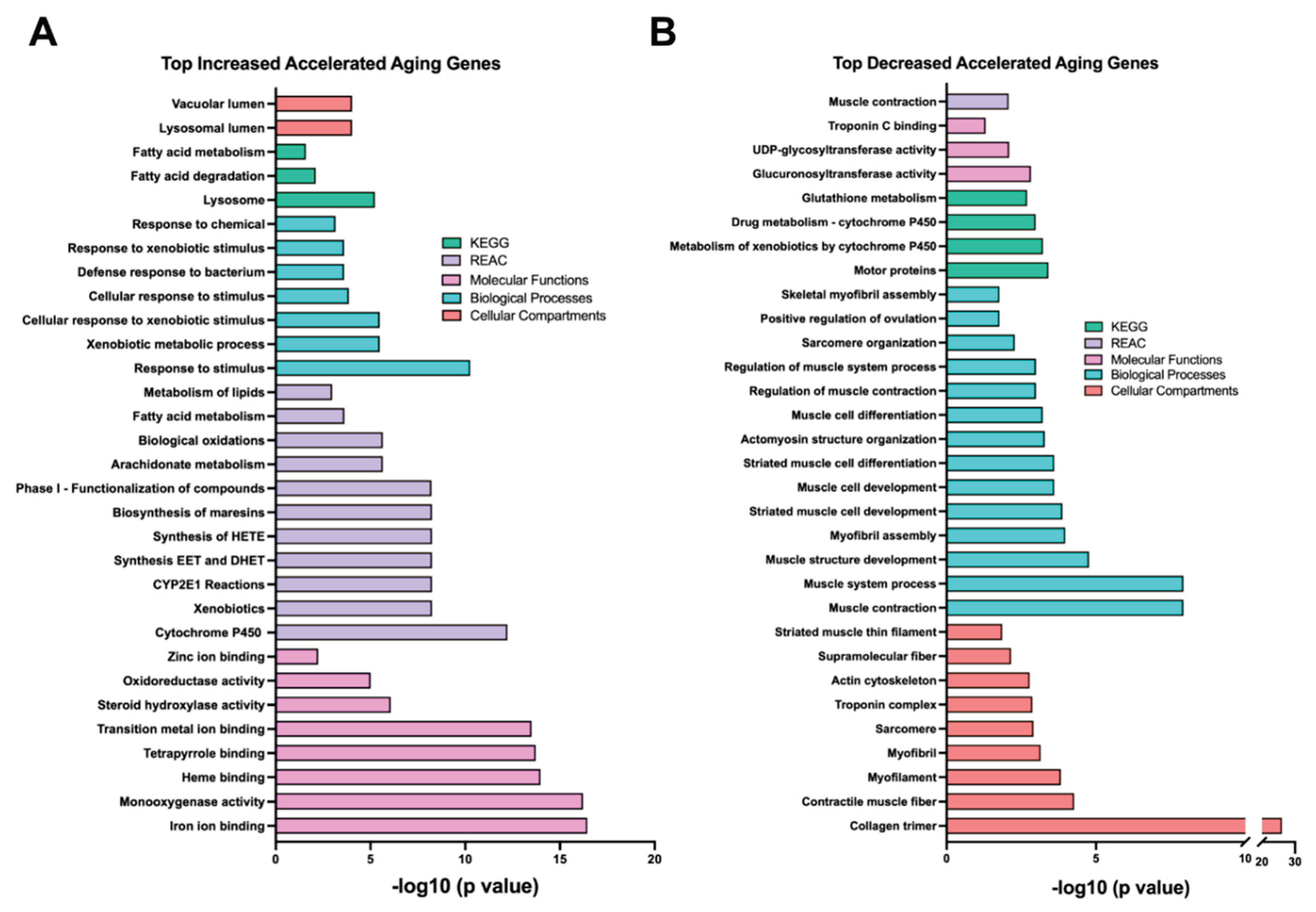Preprints 224590 g005