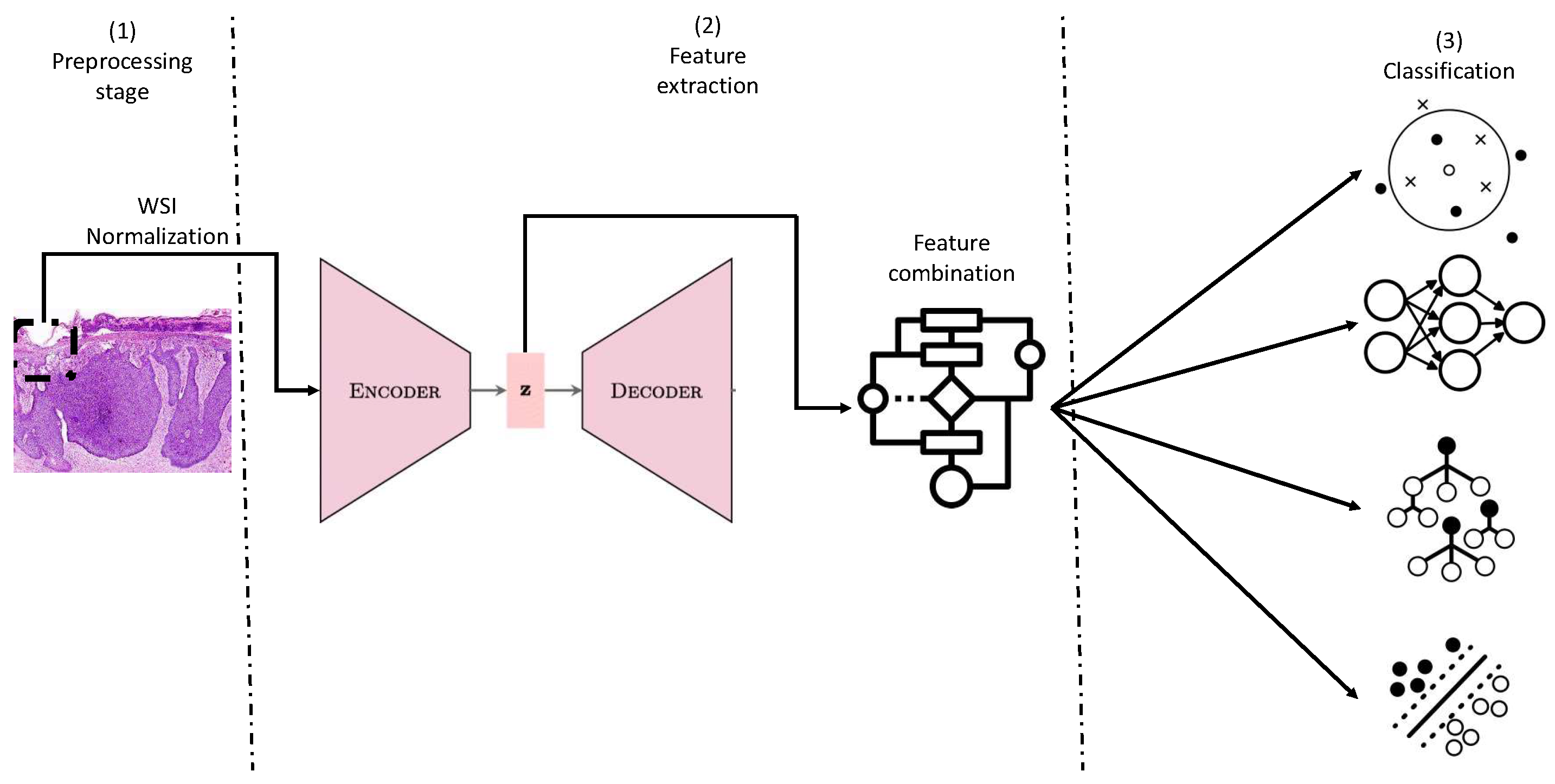 Preprints 162197 g001