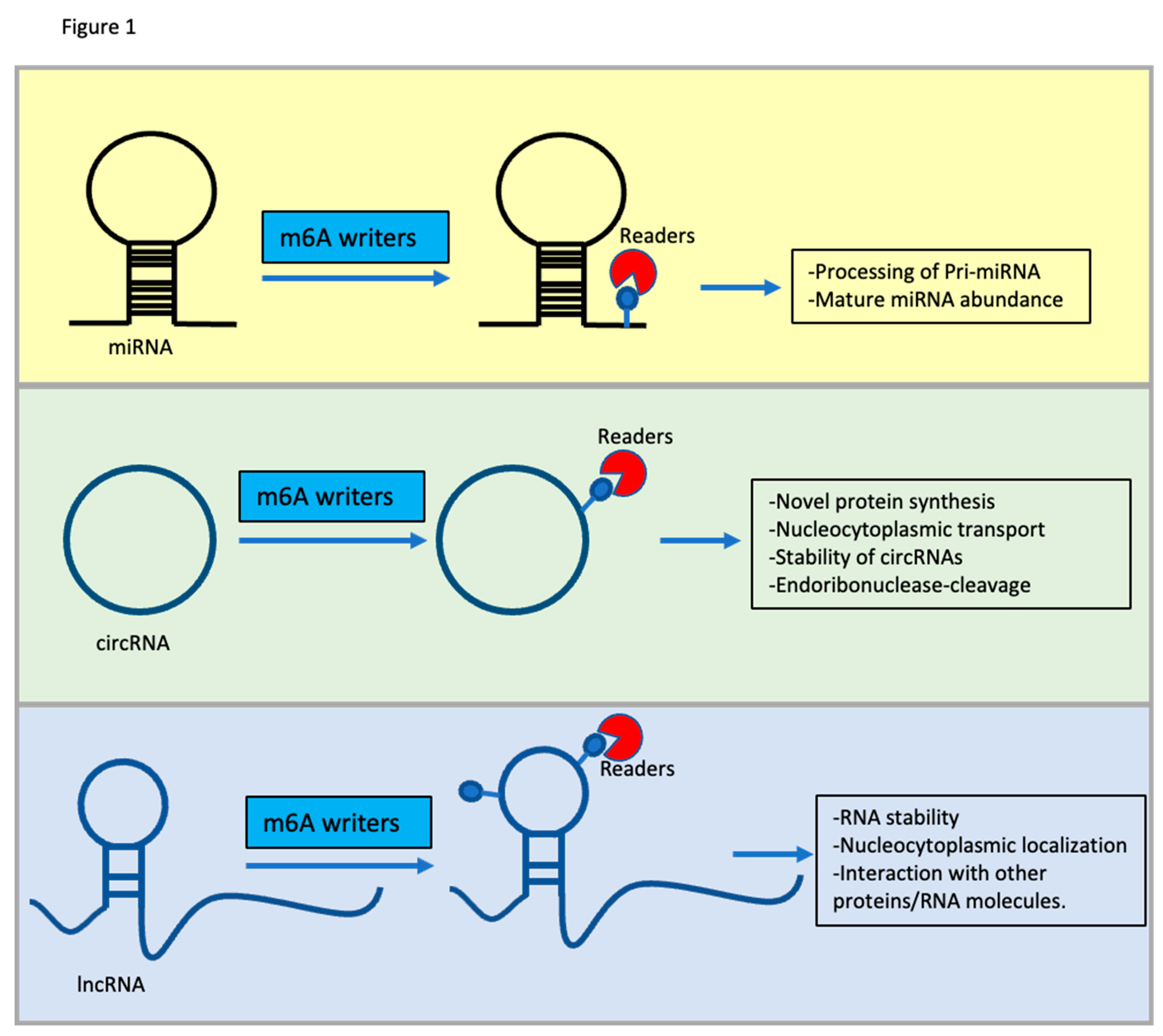 Preprints 86953 g001