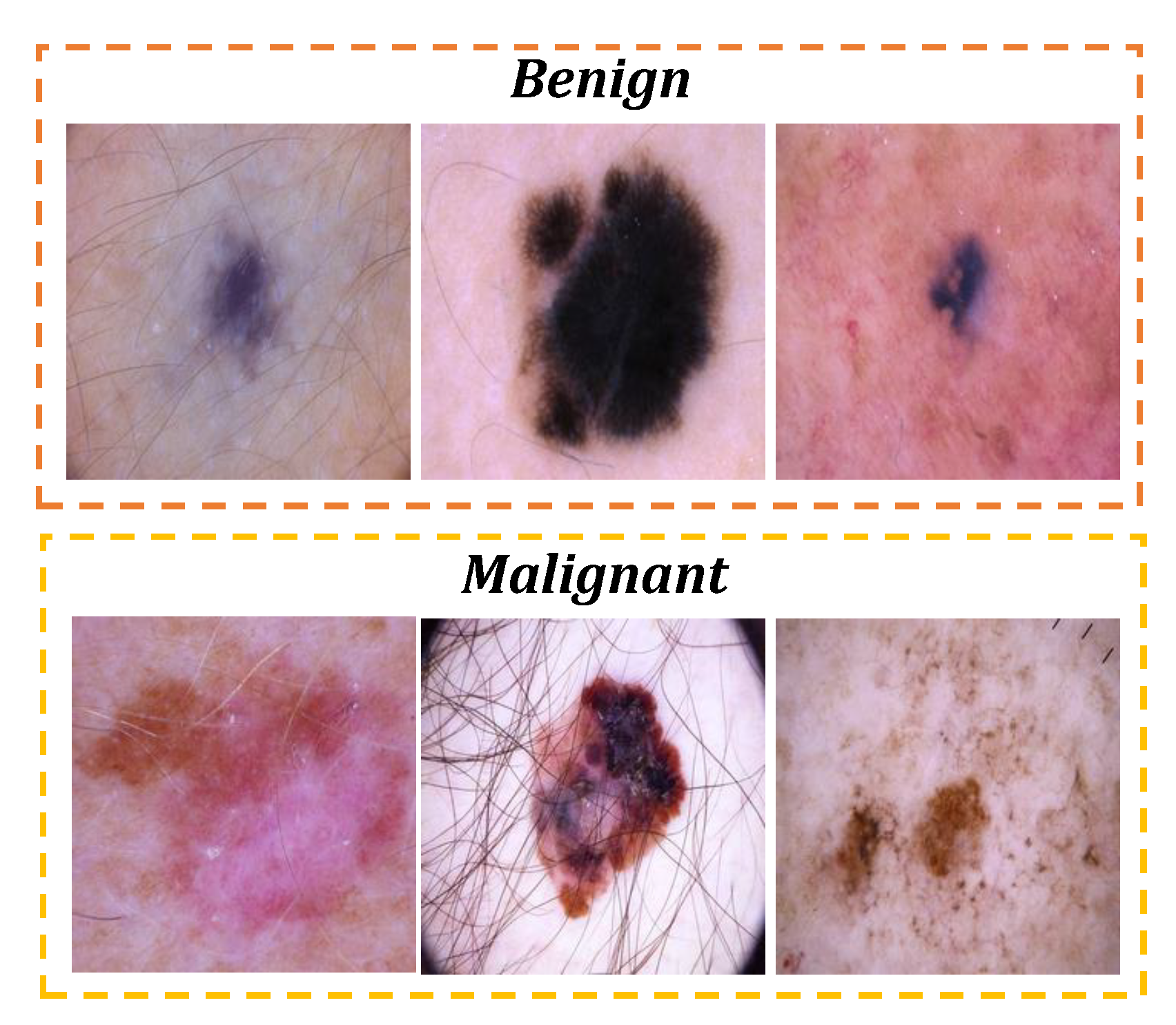 Preprints 138412 g002