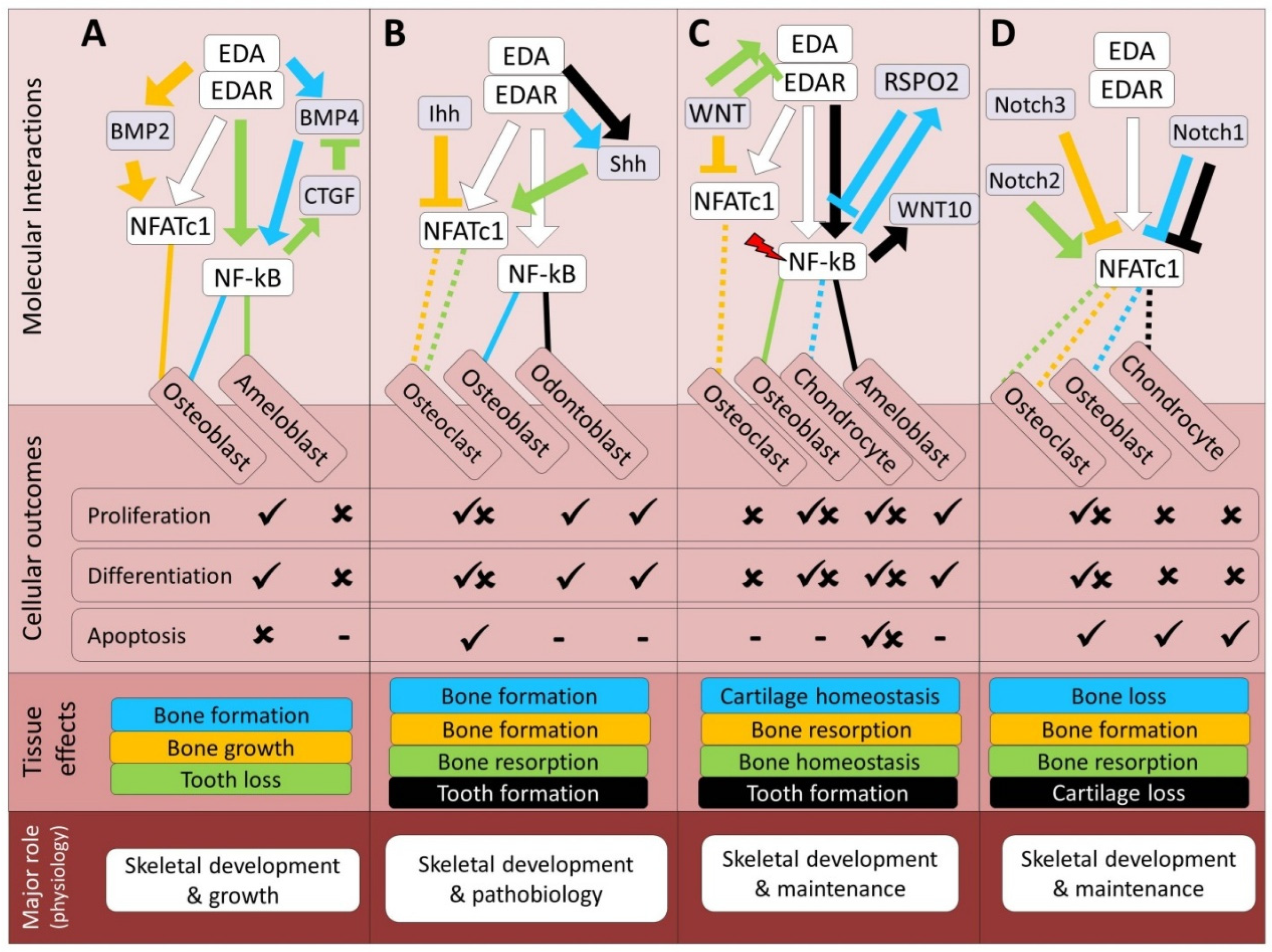 Preprints 165314 g001