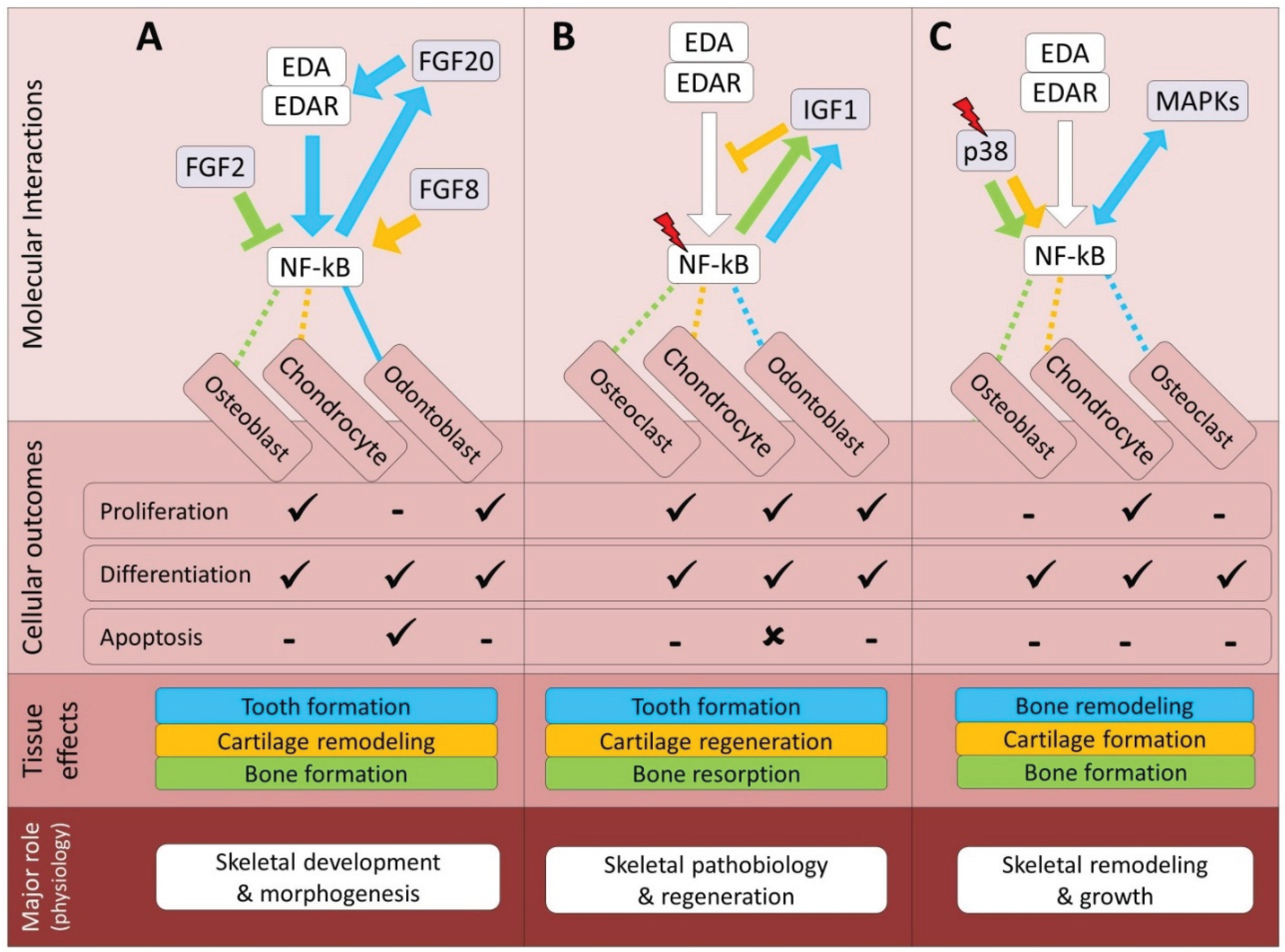Preprints 165314 g002