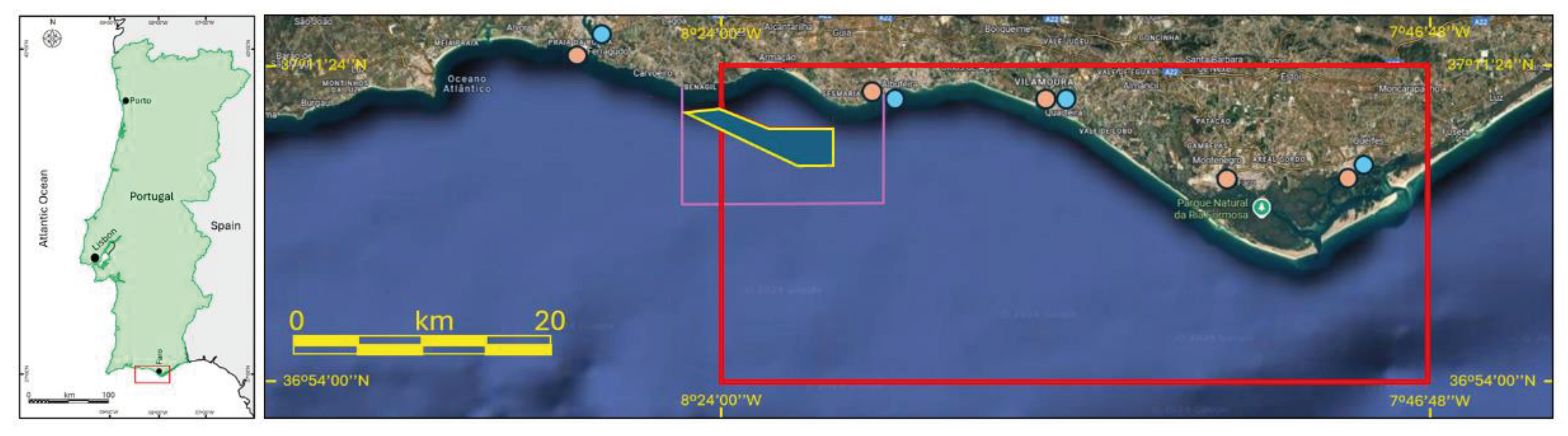 Preprints 153982 g002