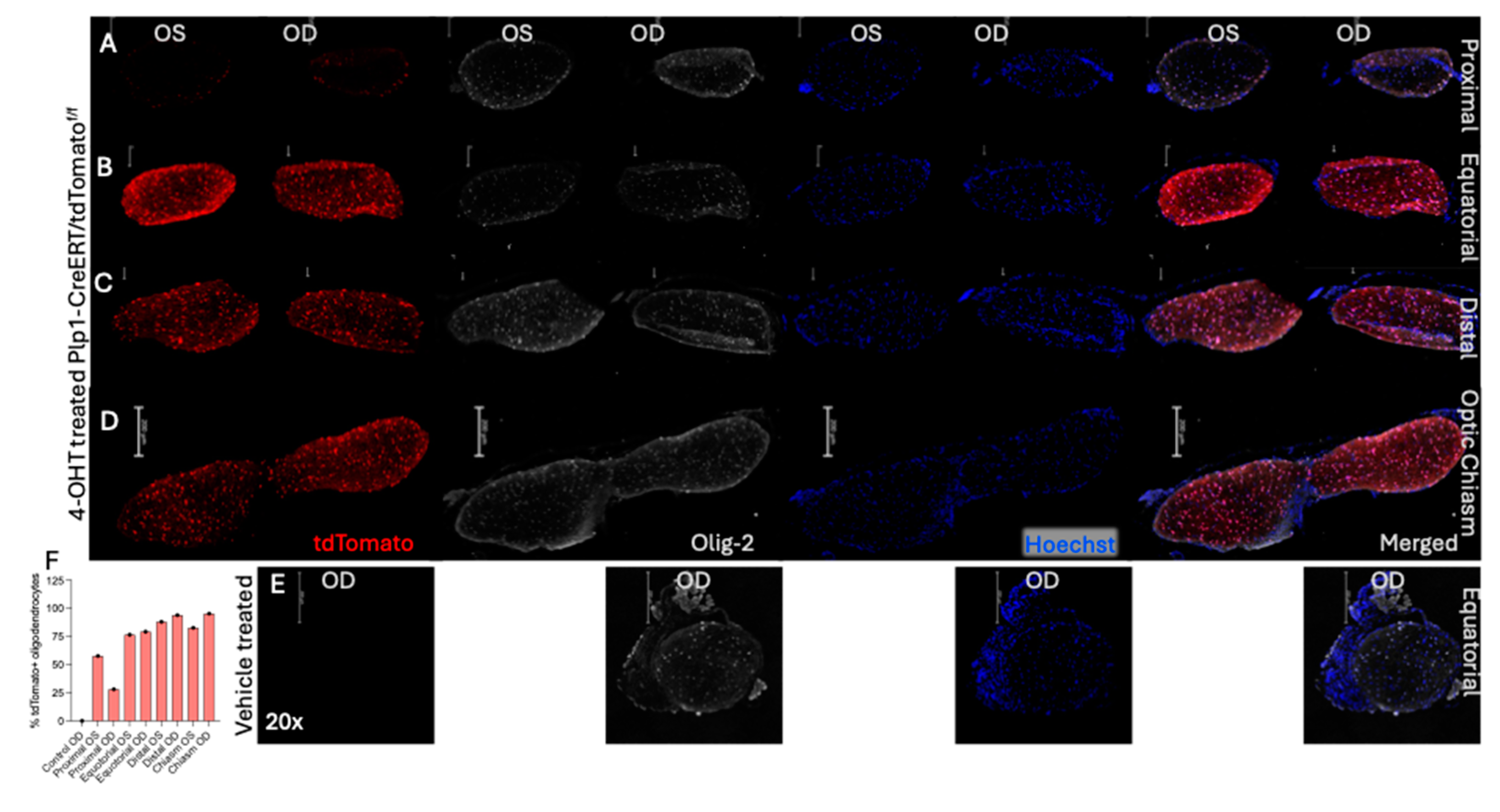 Preprints 190661 g003