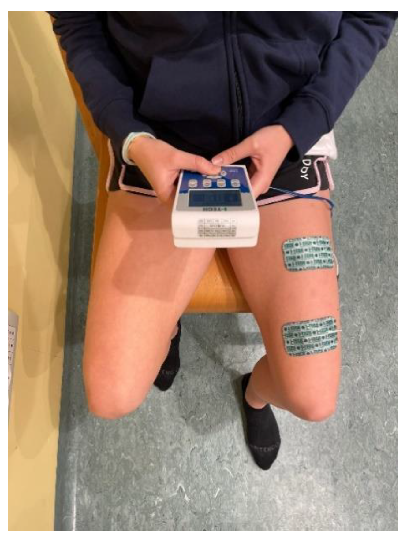 Preprints 146248 g002