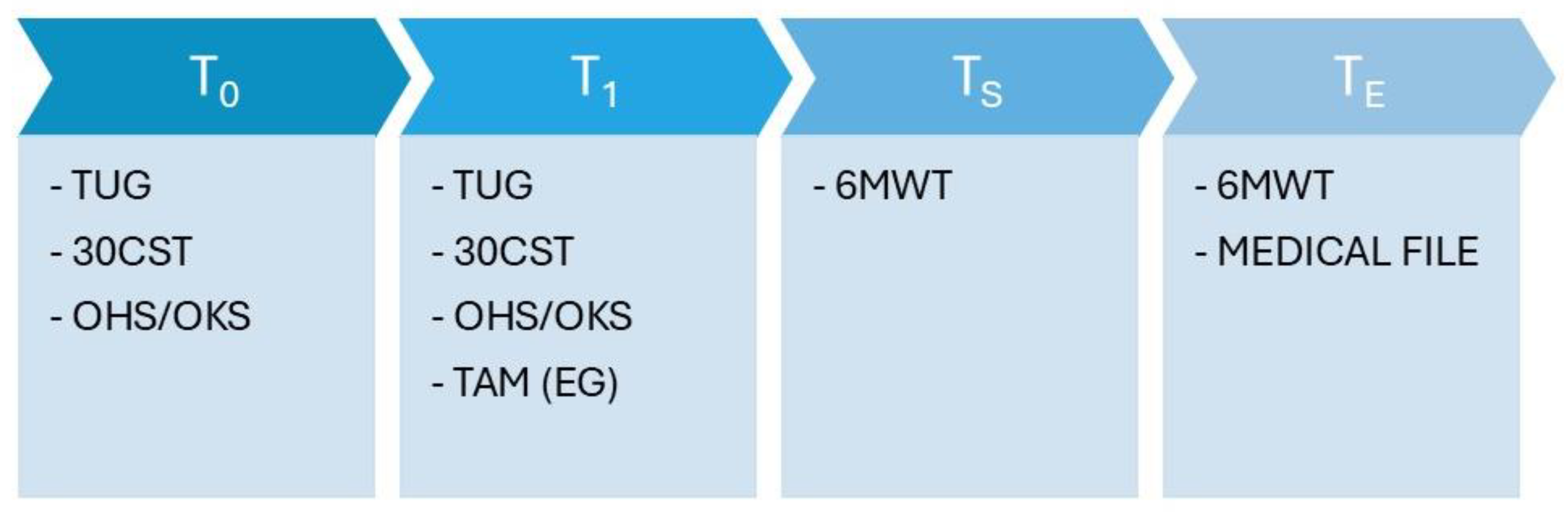 Preprints 146248 g003