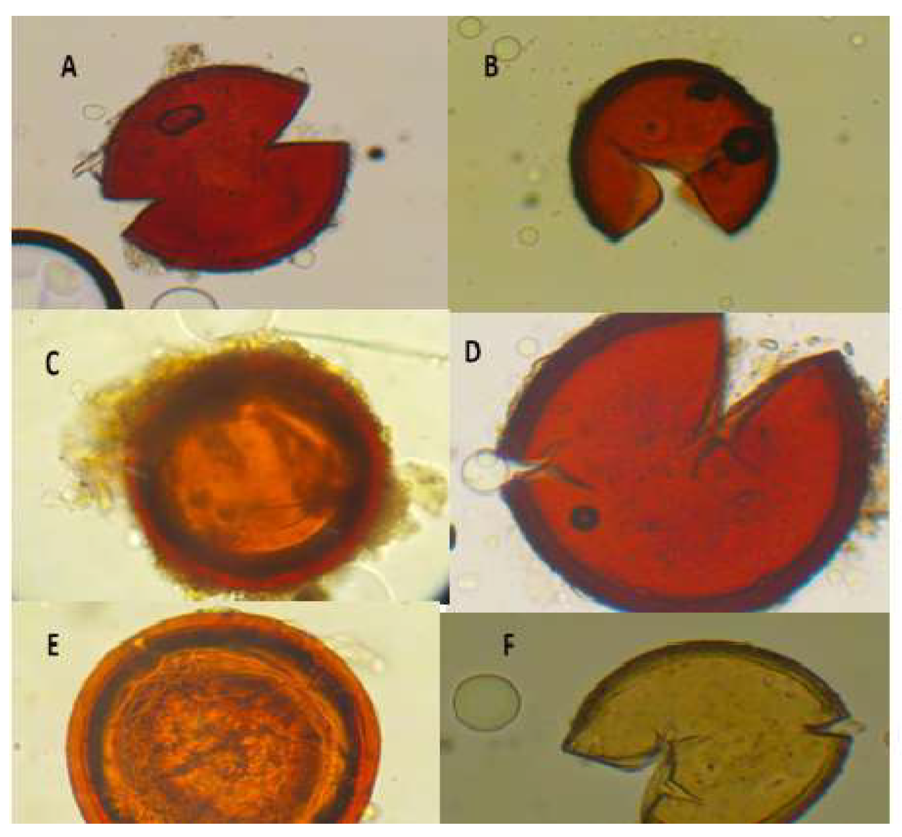 Preprints 208721 g002