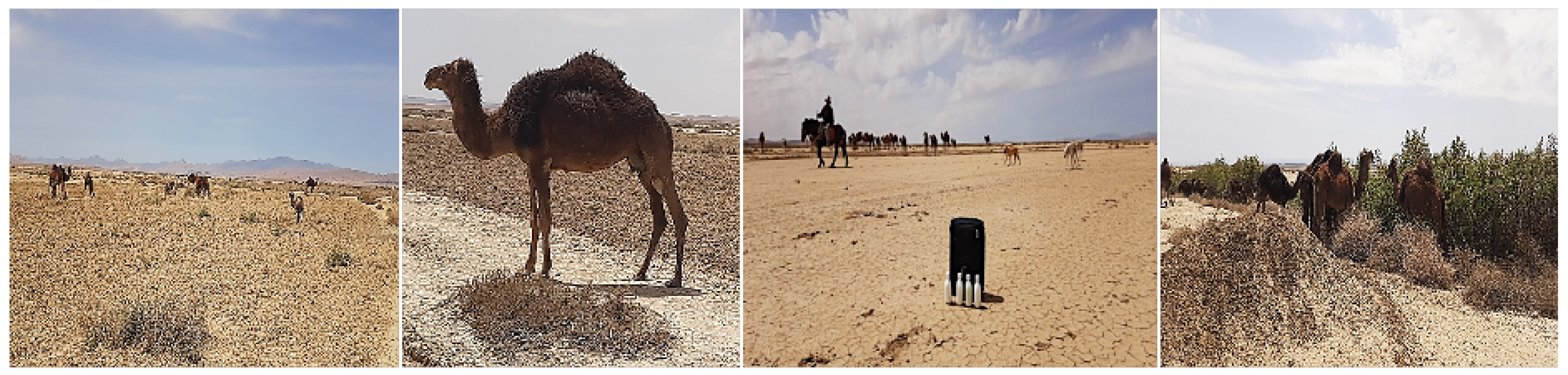 Preprints 165716 g001