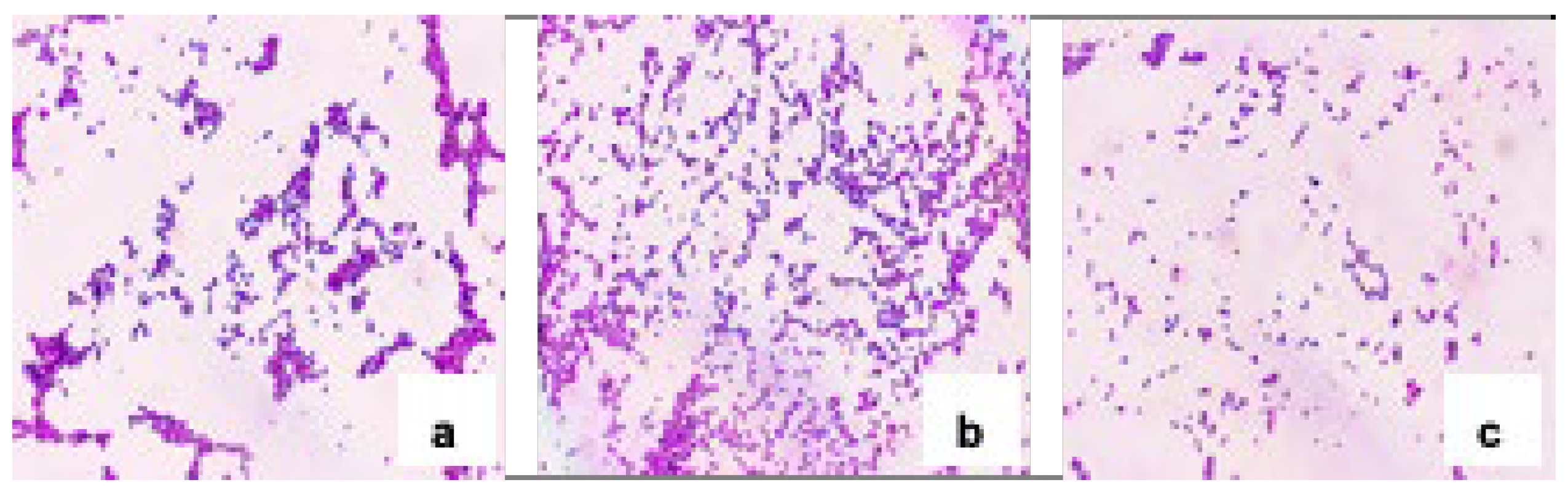 Preprints 165716 g002