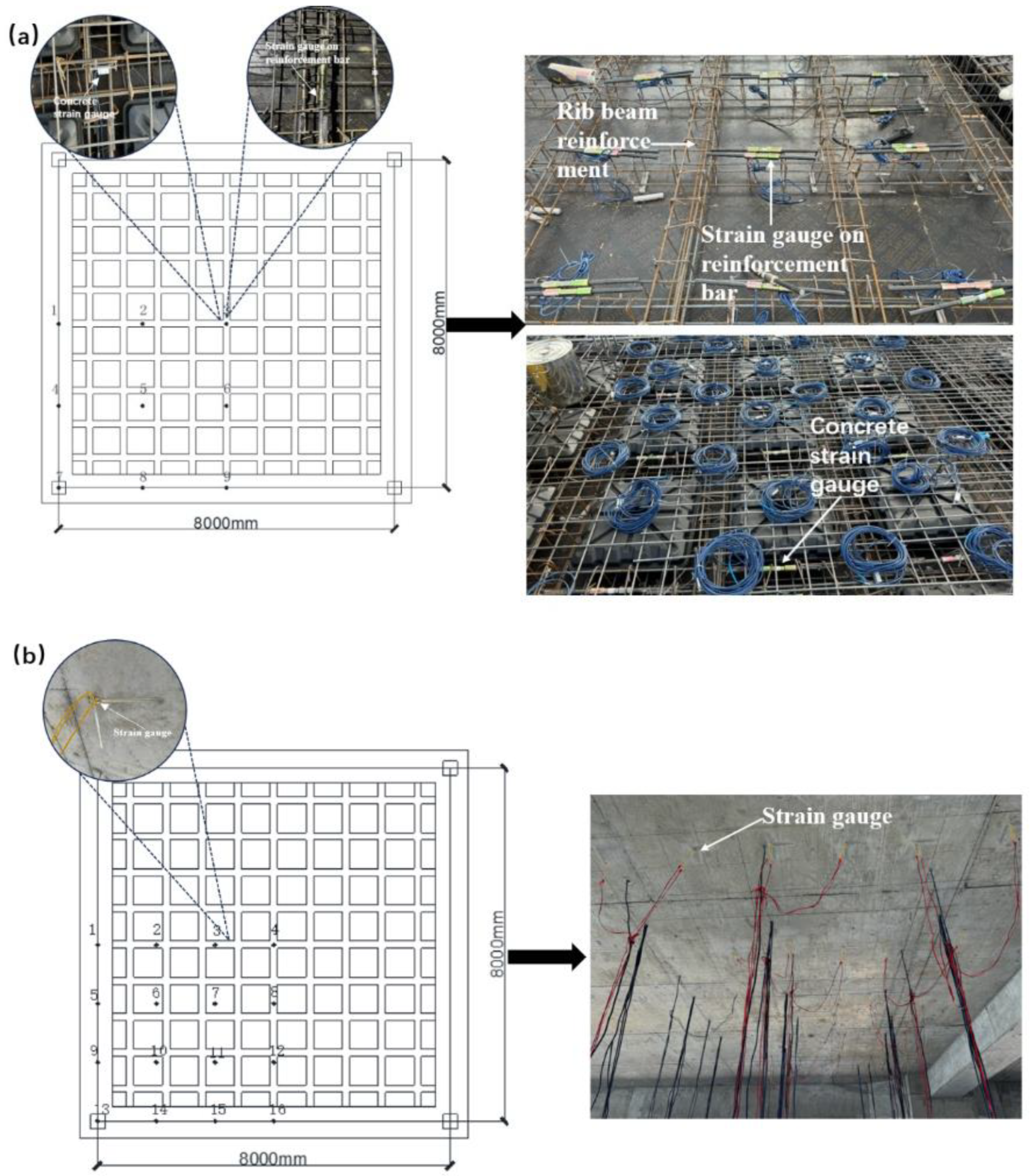Preprints 167510 g004