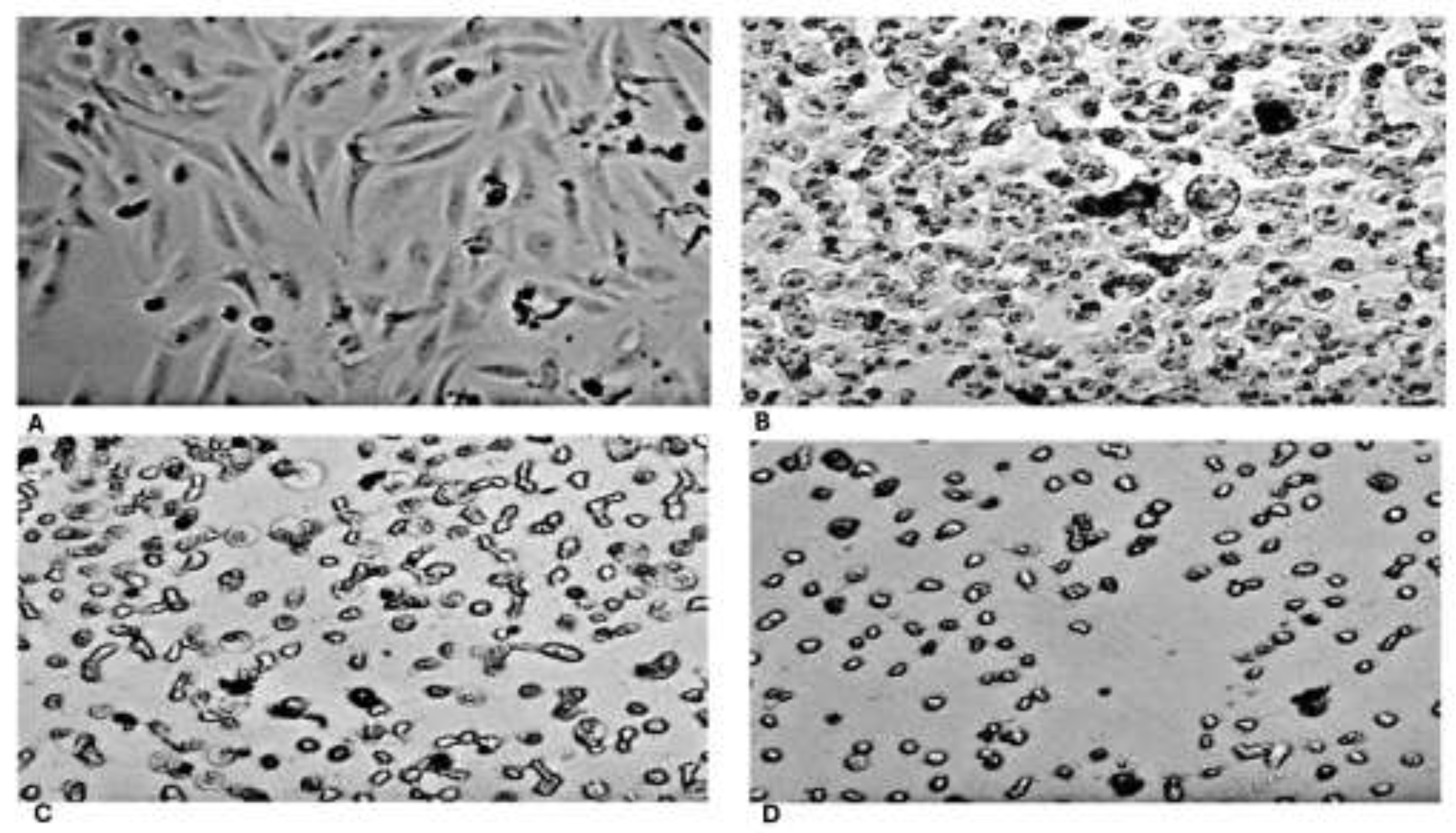 Preprints 193911 g003