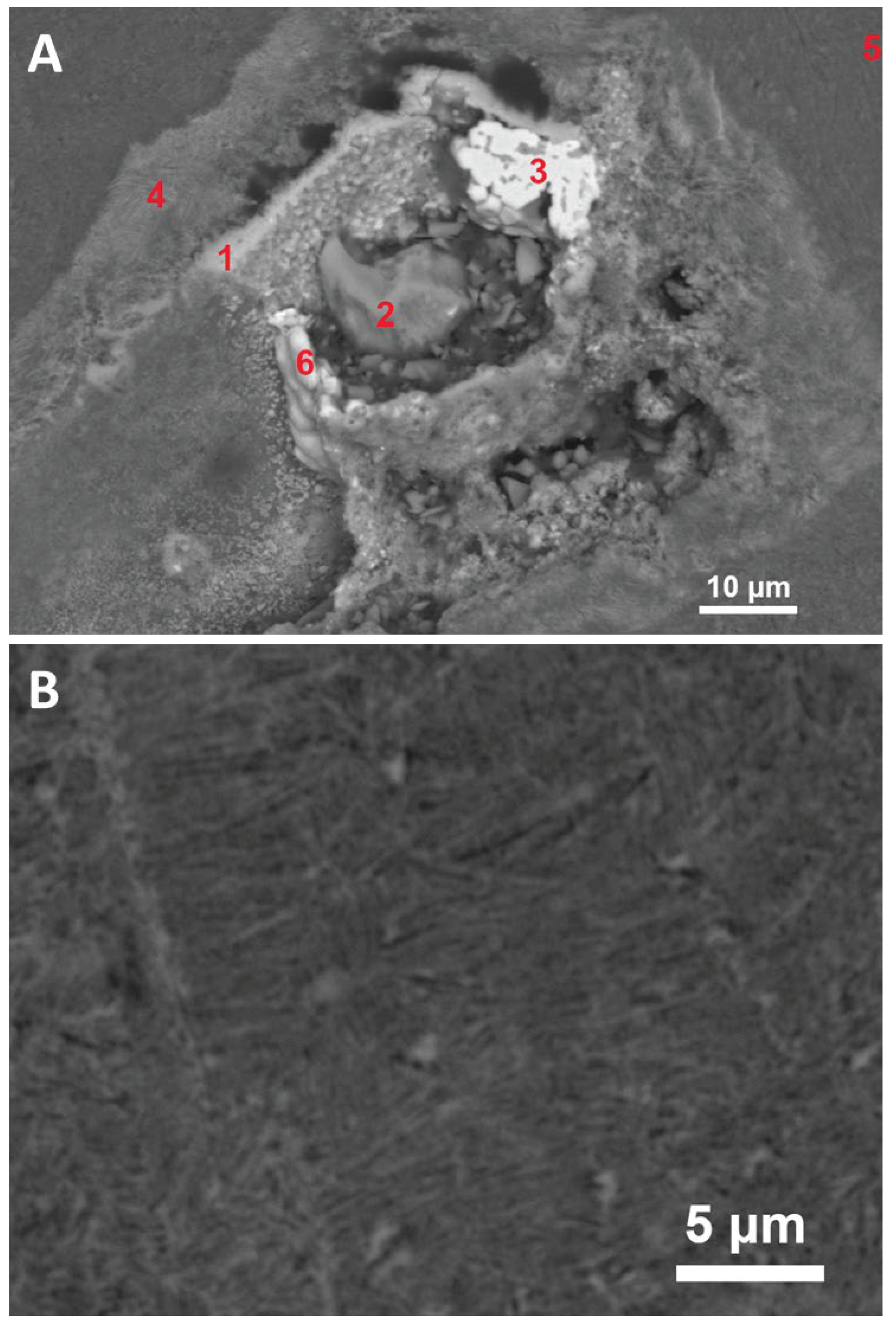 Preprints 102089 g004