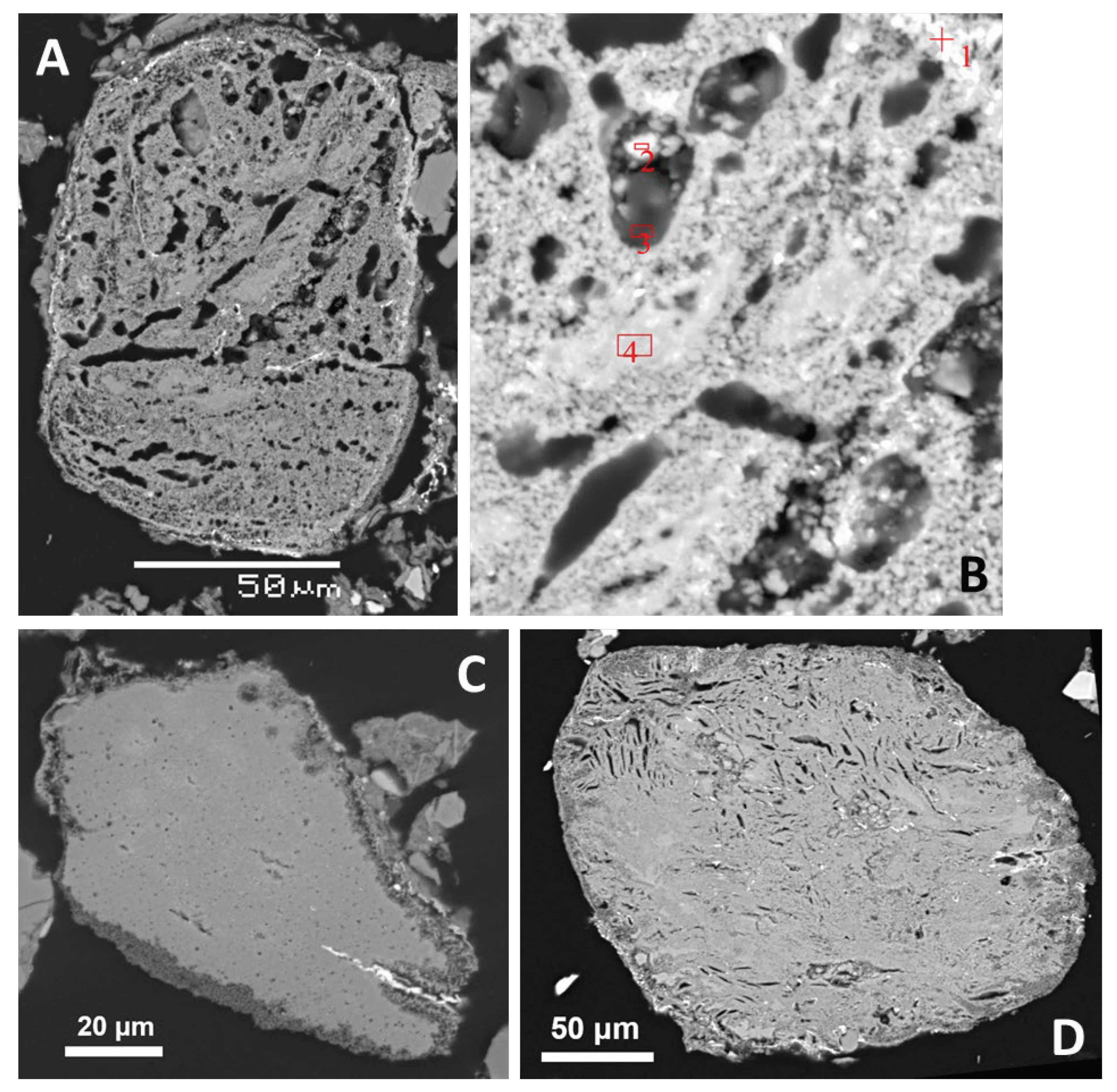 Preprints 102089 g005