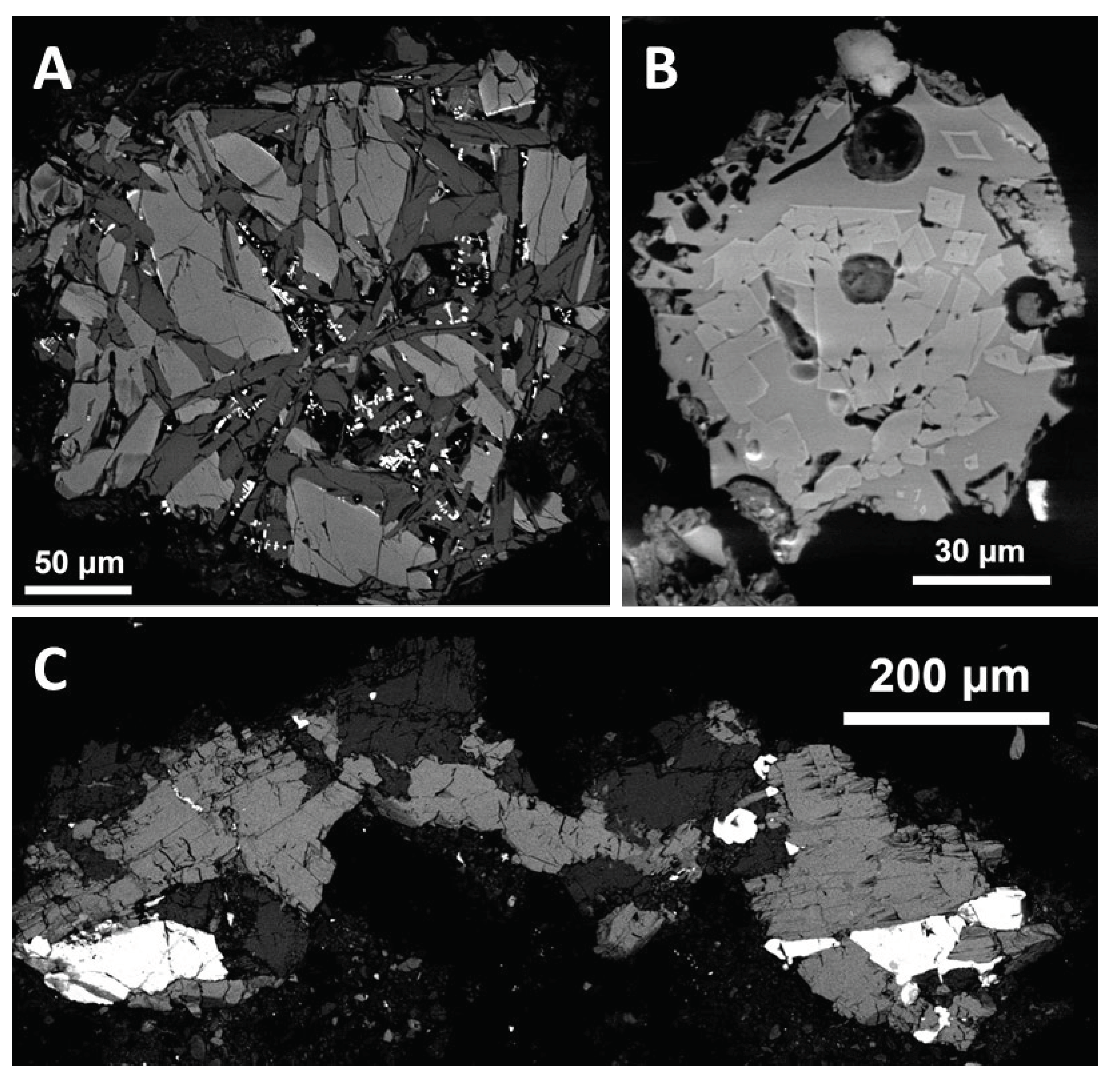 Preprints 102089 g007
