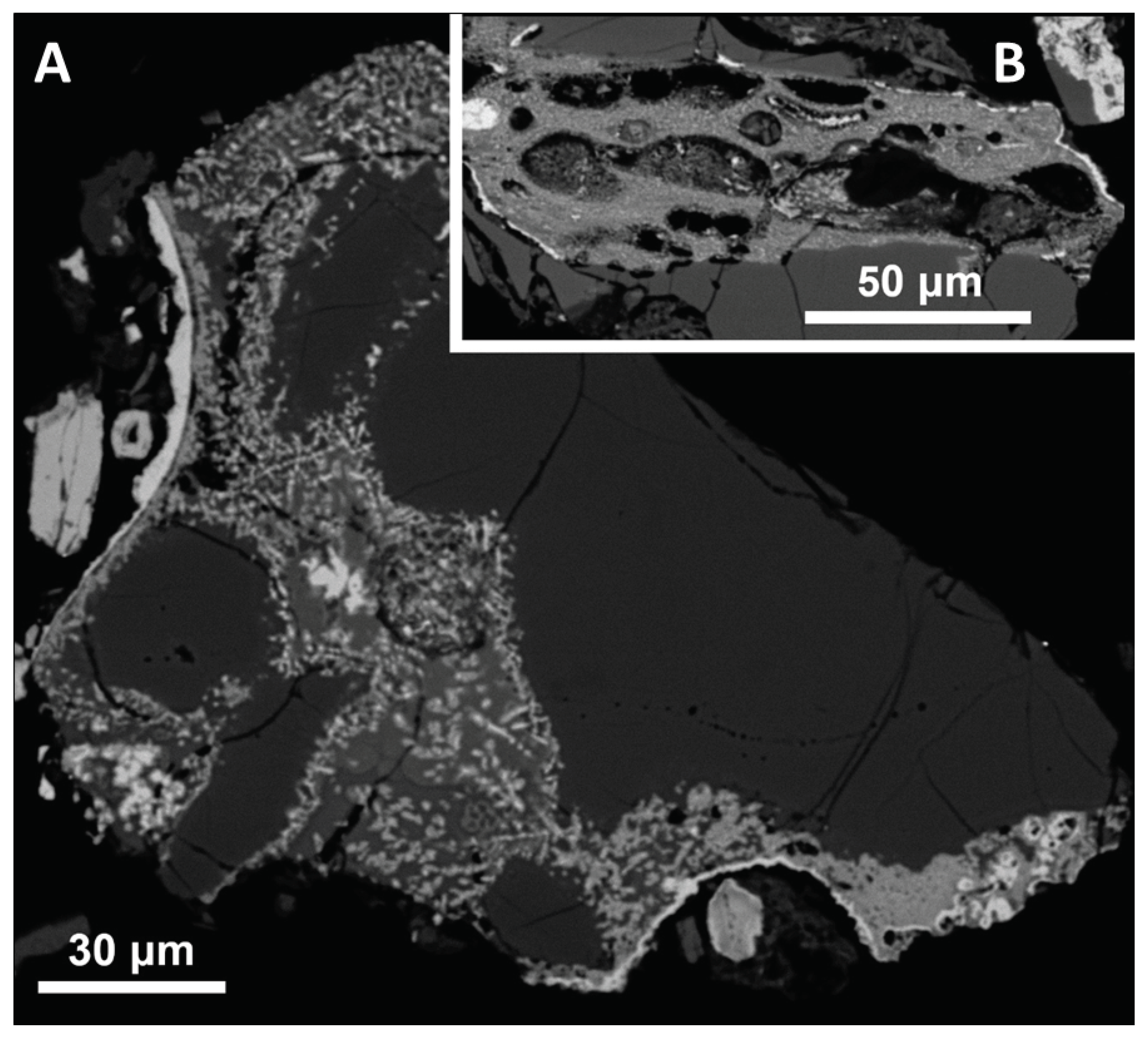 Preprints 102089 g008