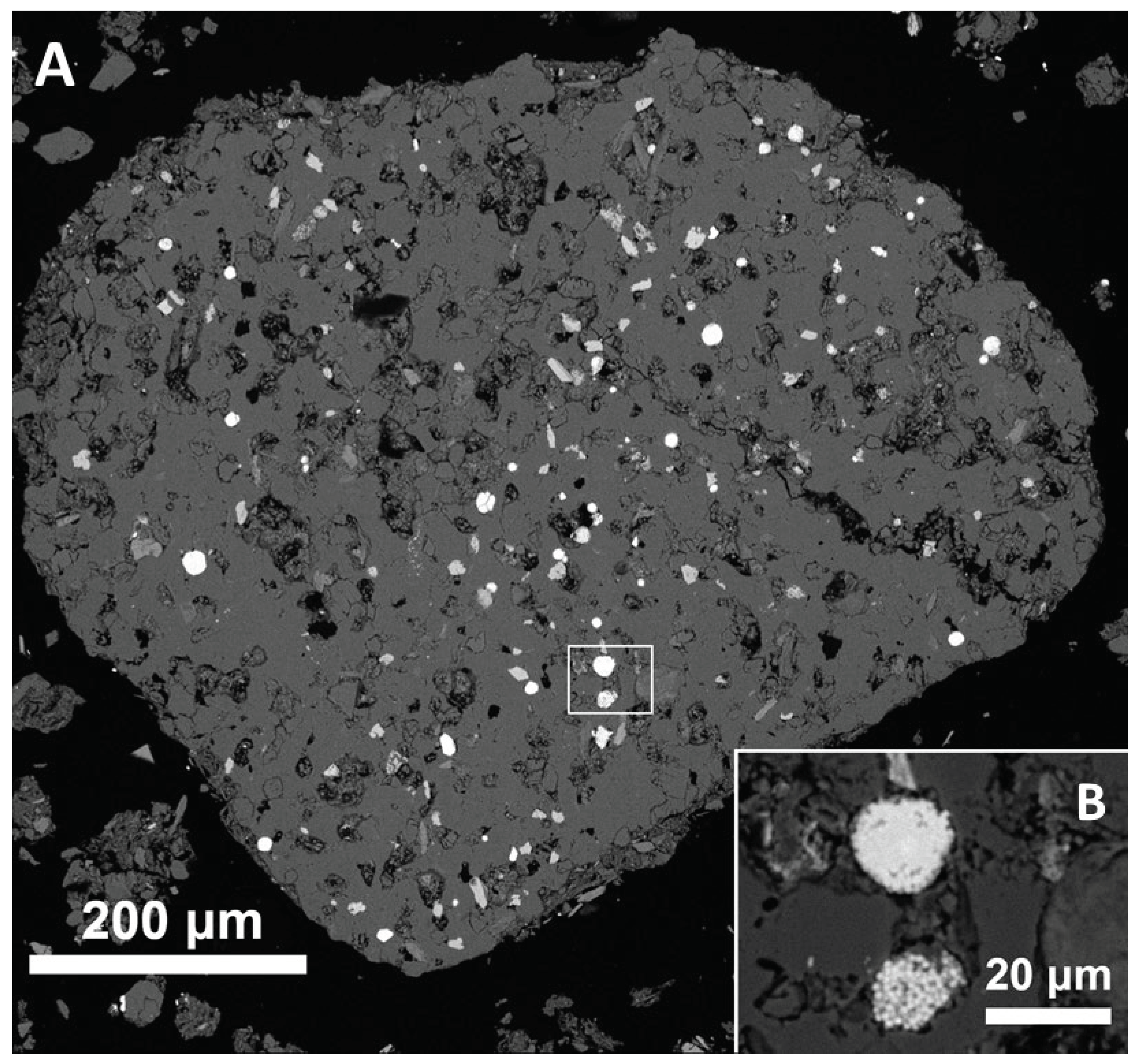 Preprints 102089 g010