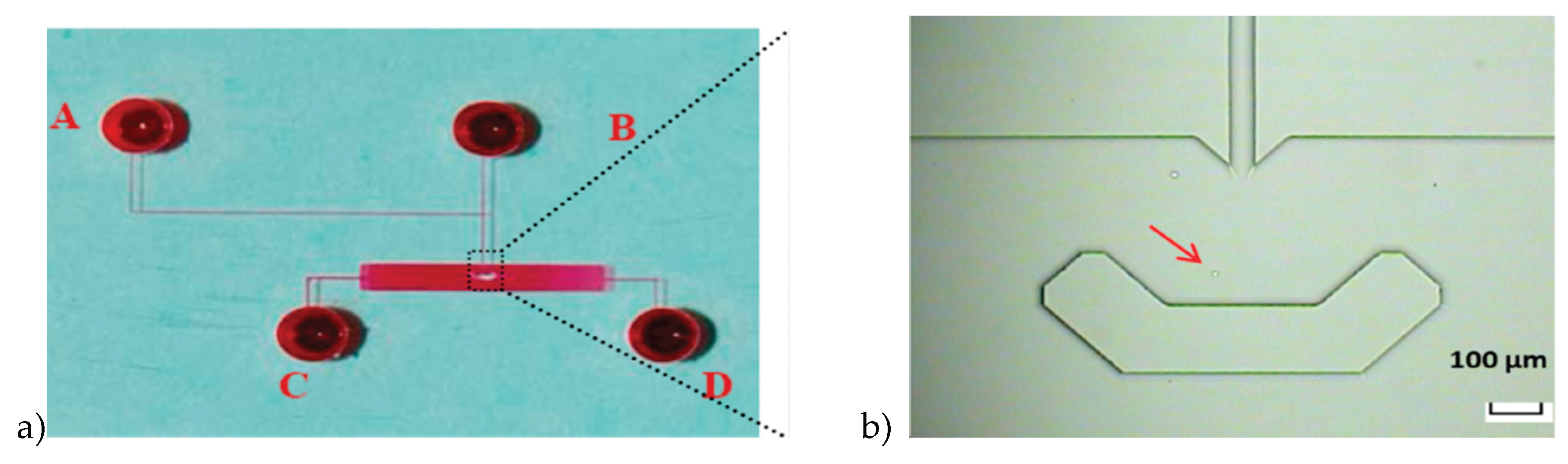 Preprints 198490 g001