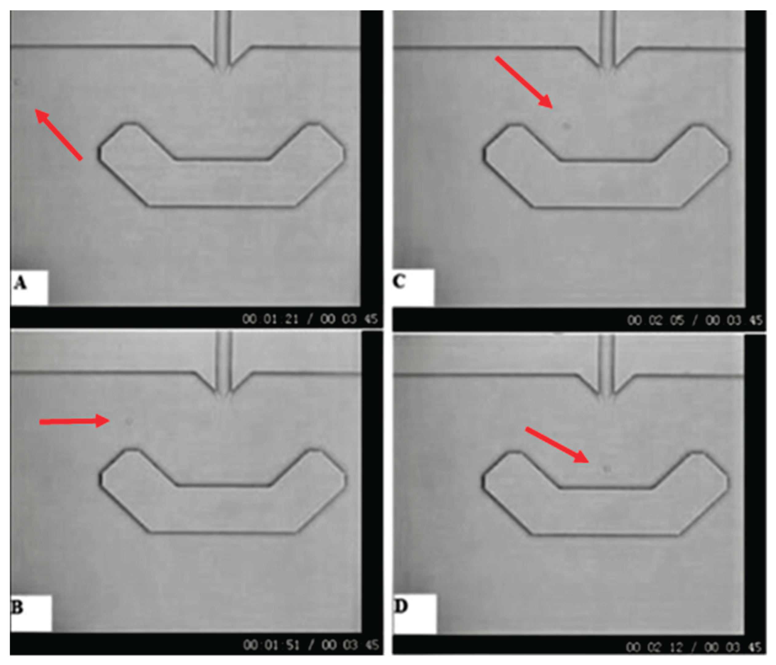 Preprints 198490 g002