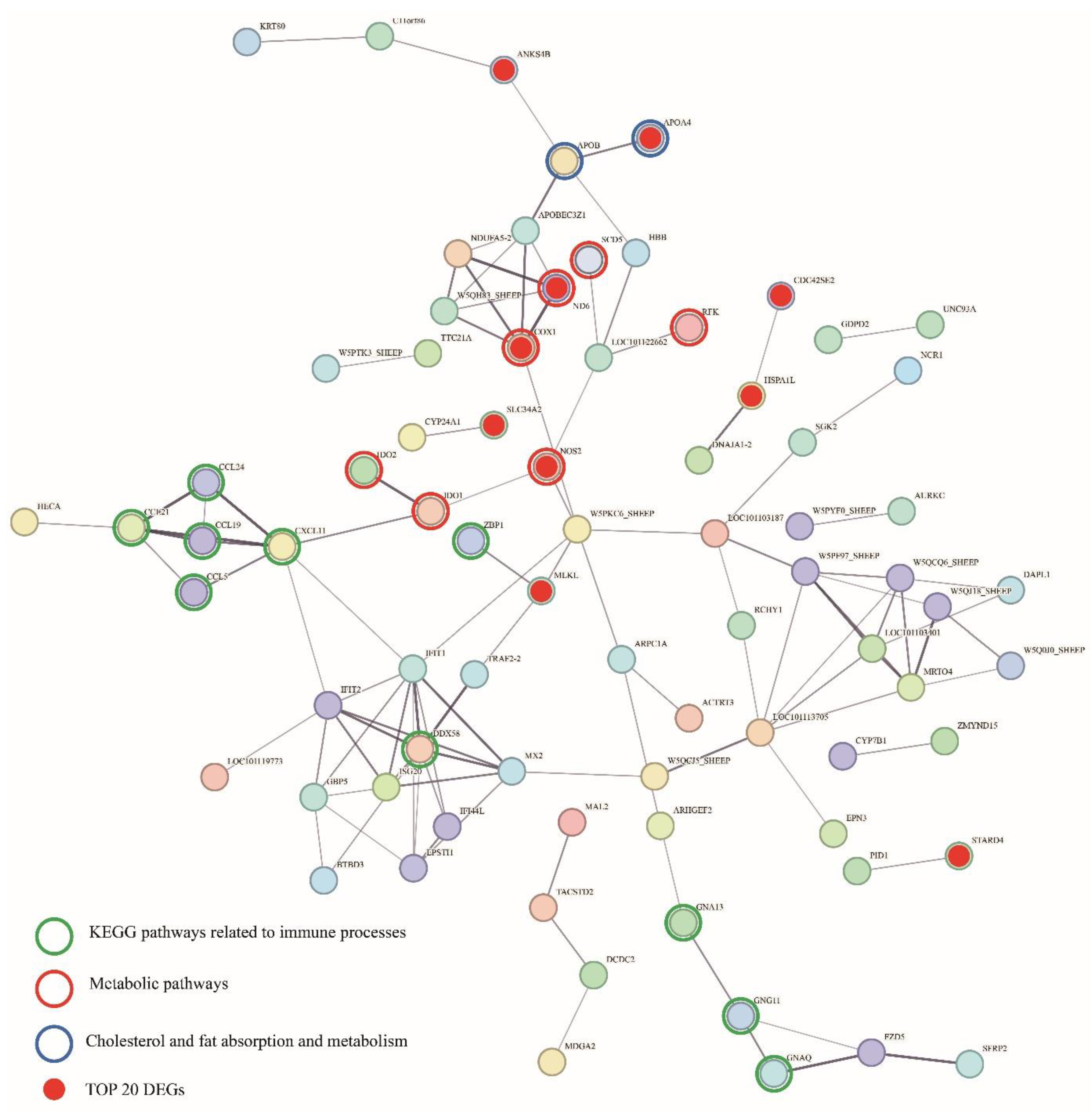 Preprints 154672 g004