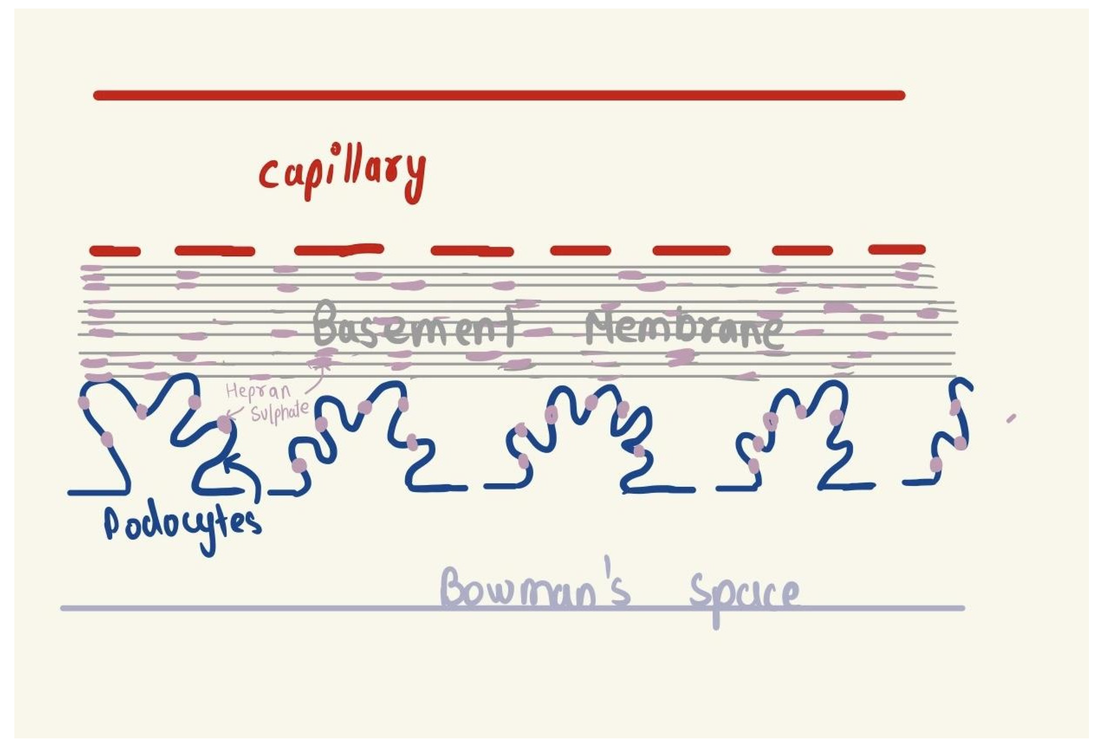 Preprints 92564 g001