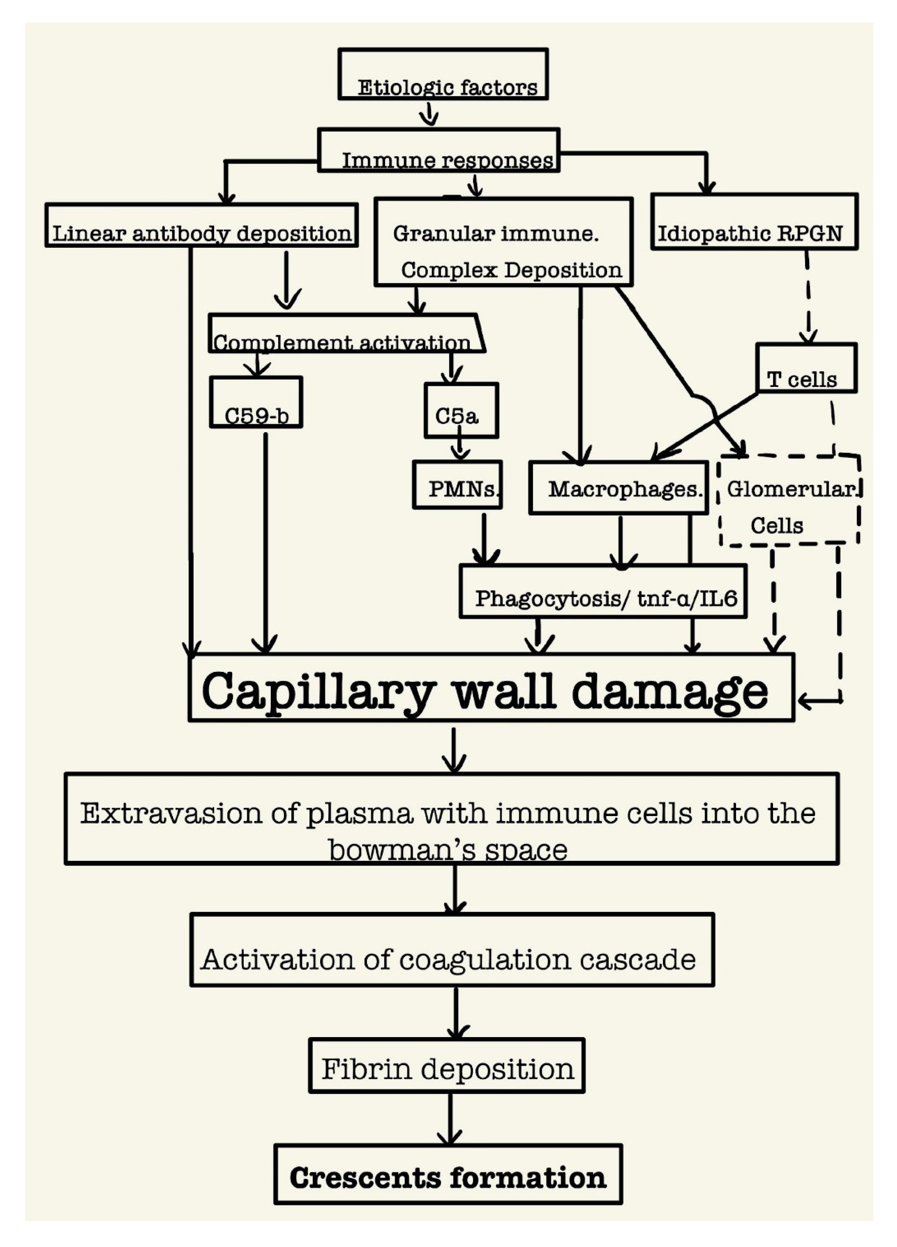 Preprints 92564 g002