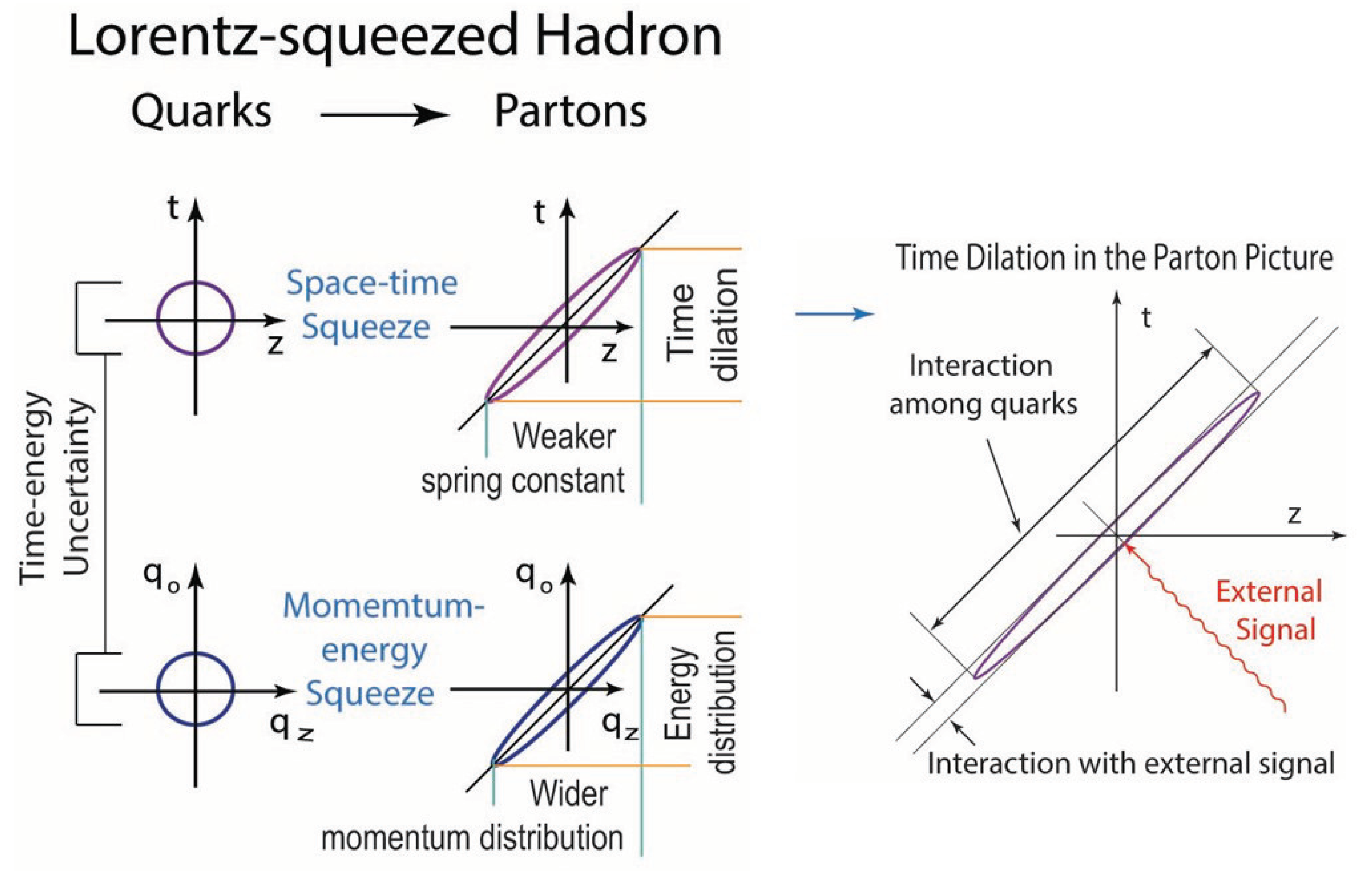 Preprints 156179 g003