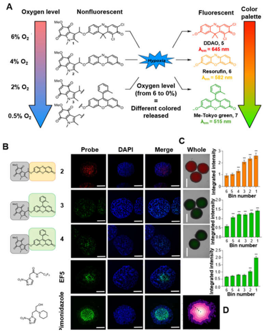 Preprints 235738 g006 Preprints 235738 g006