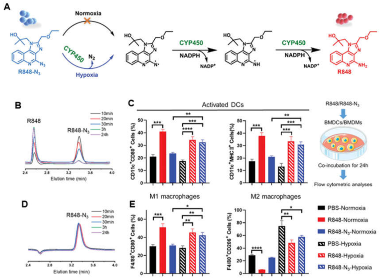 Preprints 235738 g007 Preprints 235738 g007