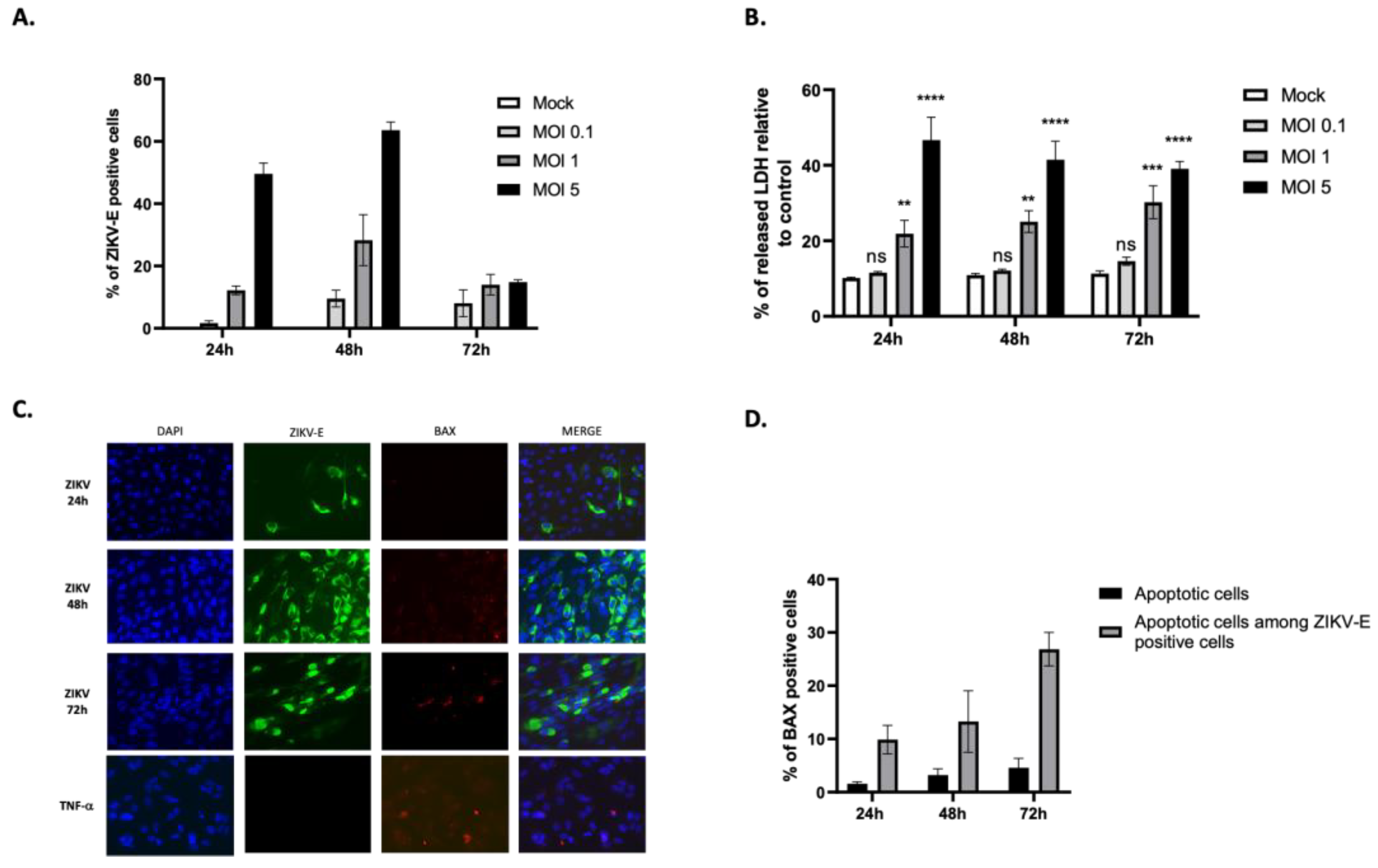 Preprints 196849 g001