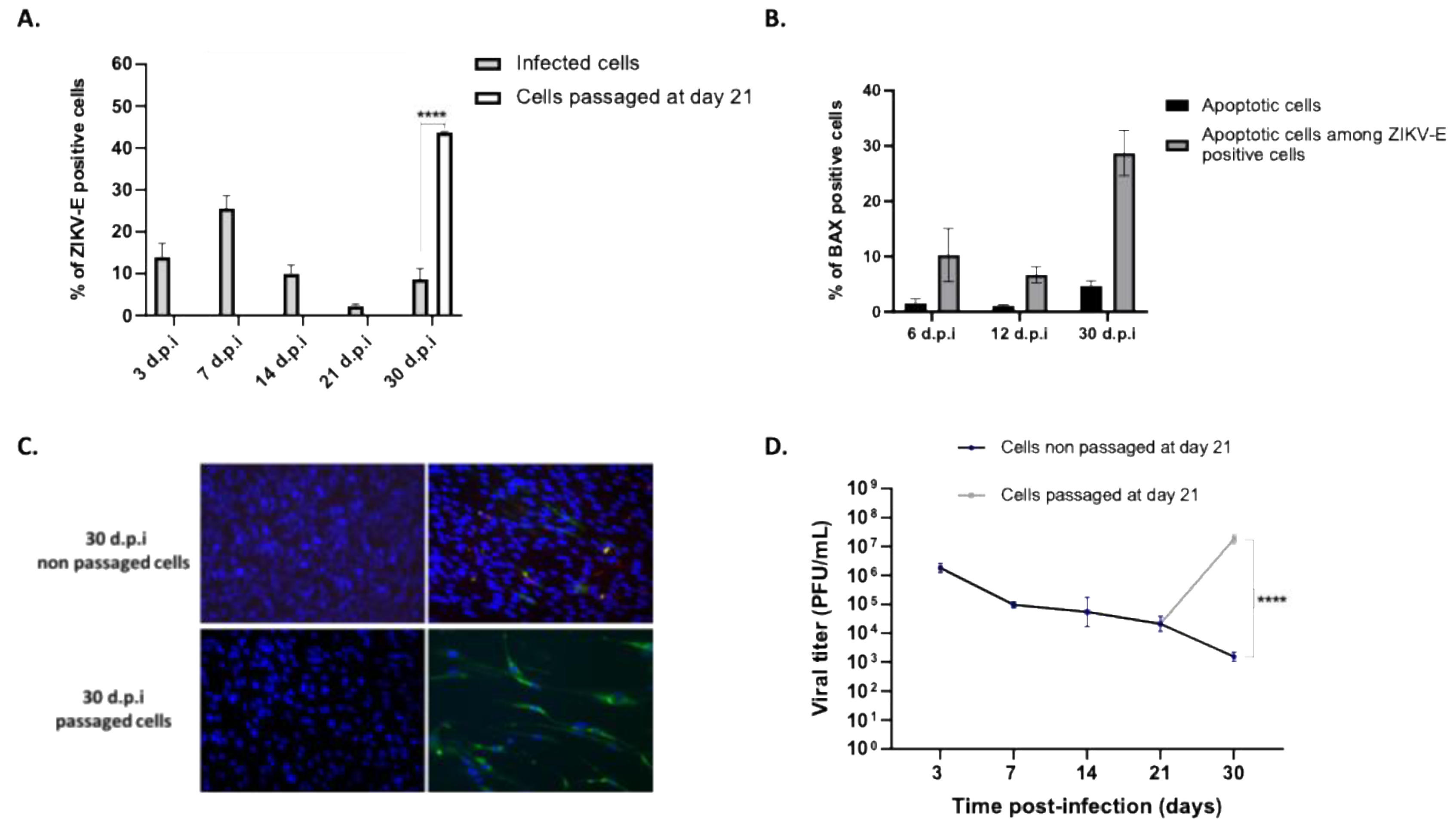 Preprints 196849 g002