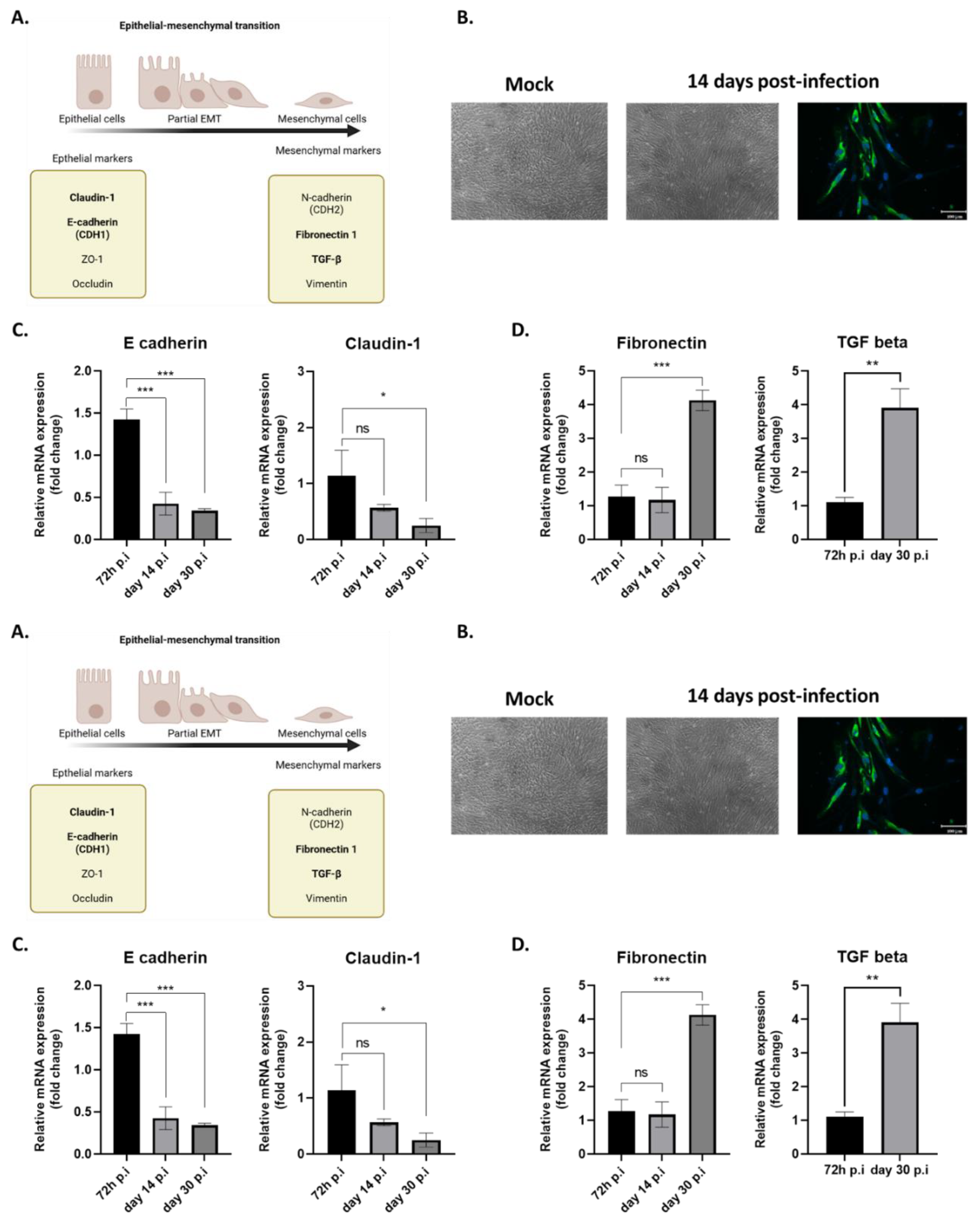 Preprints 196849 g003