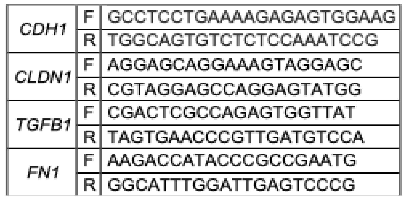Preprints 196849 i001
