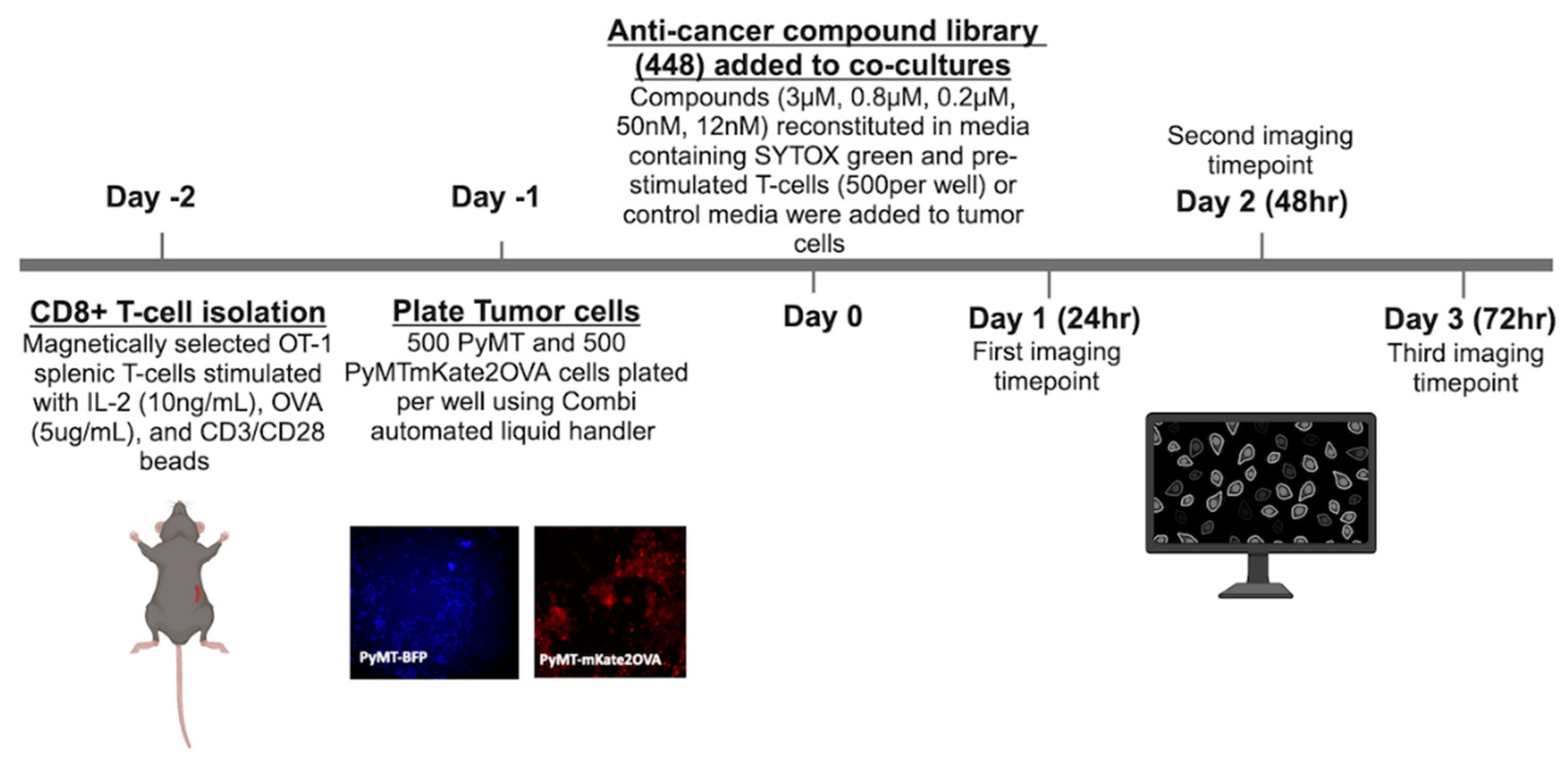 Preprints 138830 g002