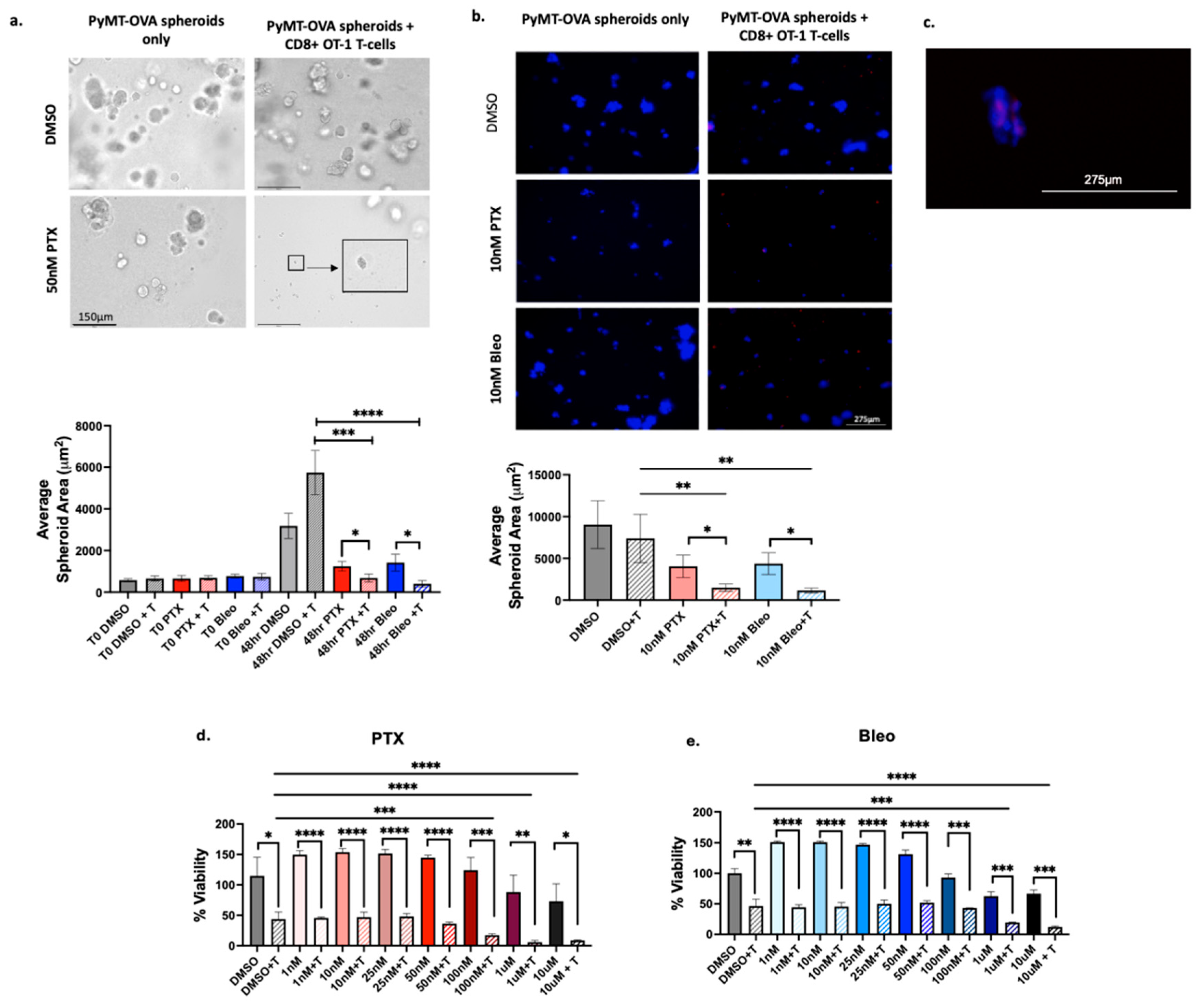 Preprints 138830 g008