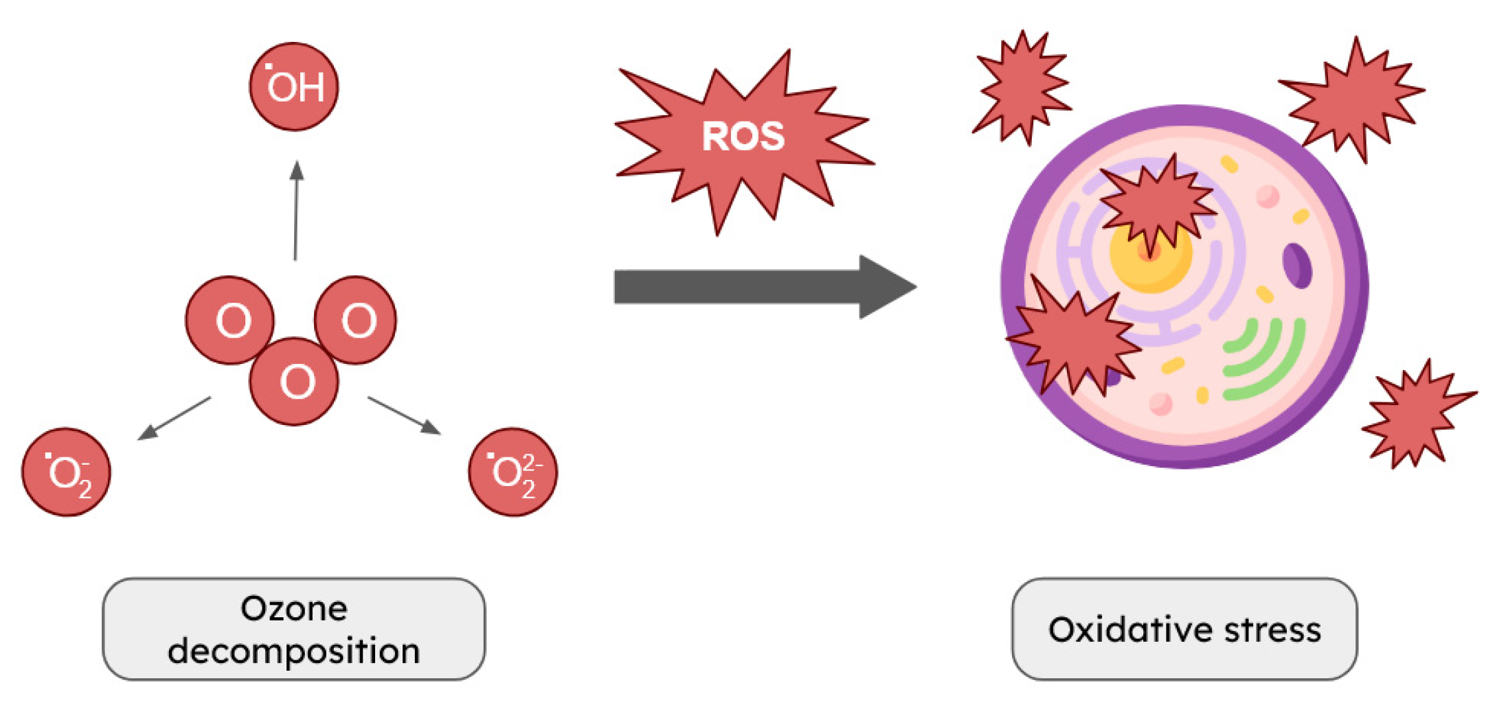 Preprints 199365 g001