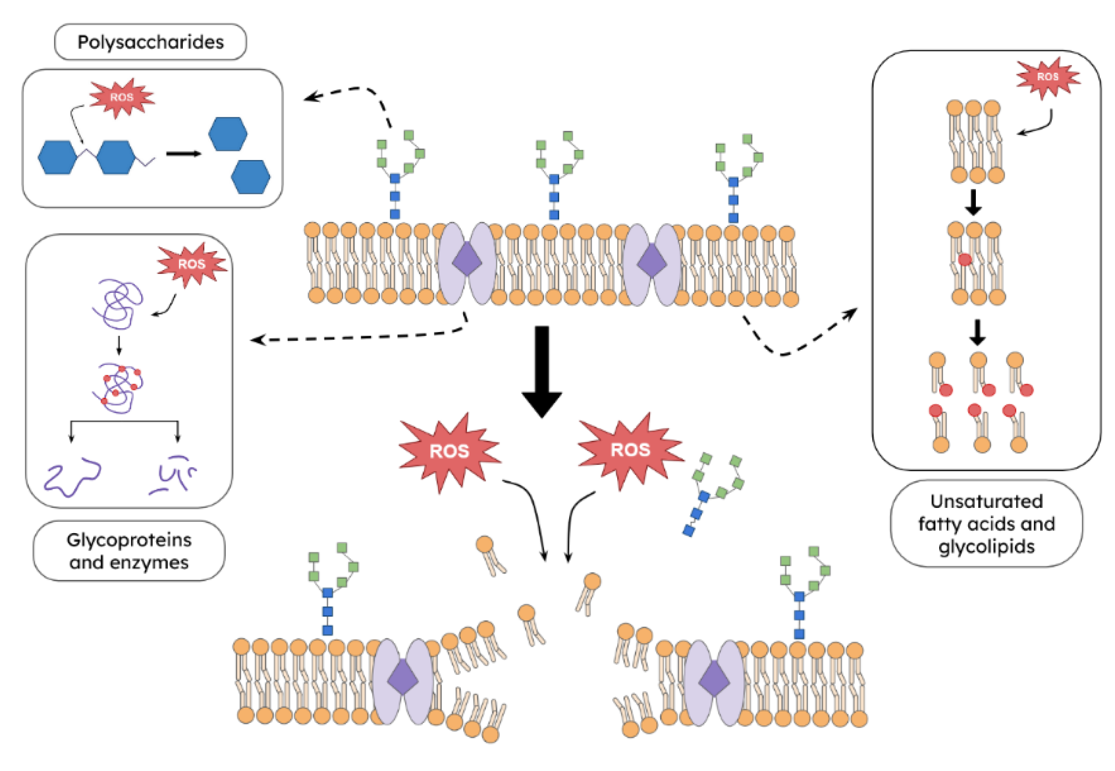 Preprints 199365 g002
