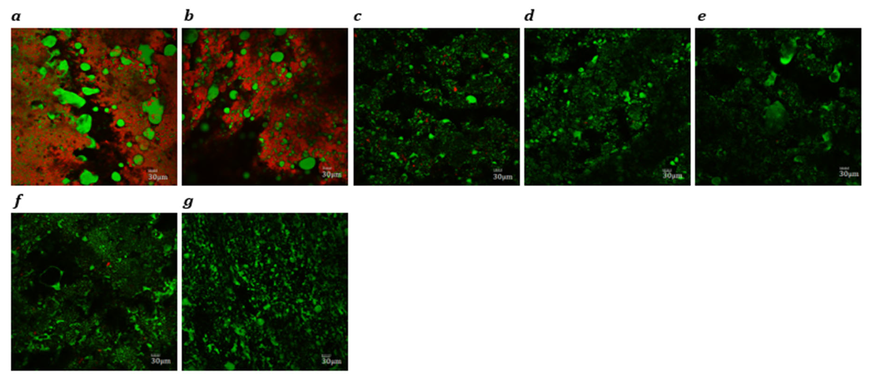 Preprints 165540 g001