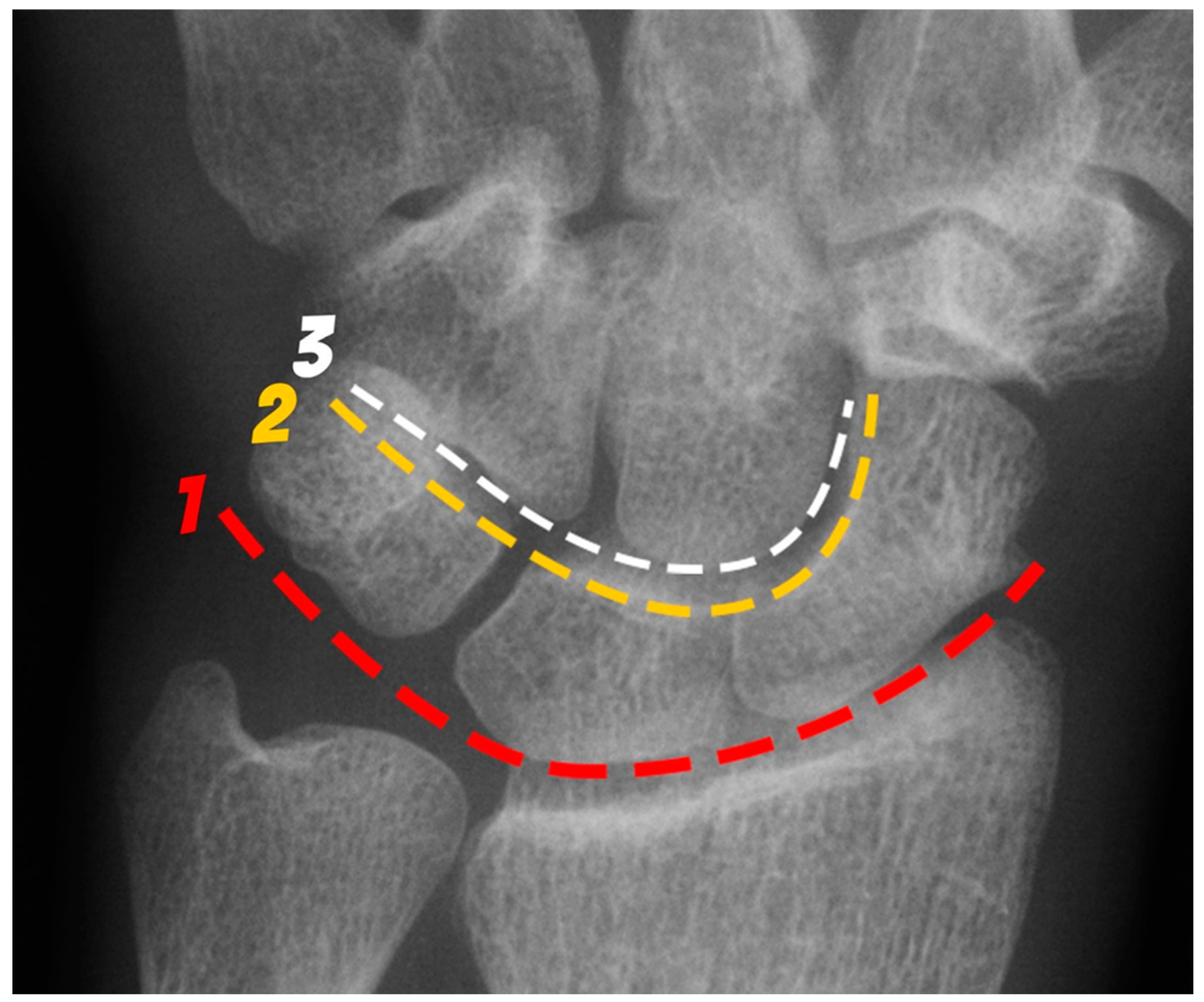 Preprints 72000 g001