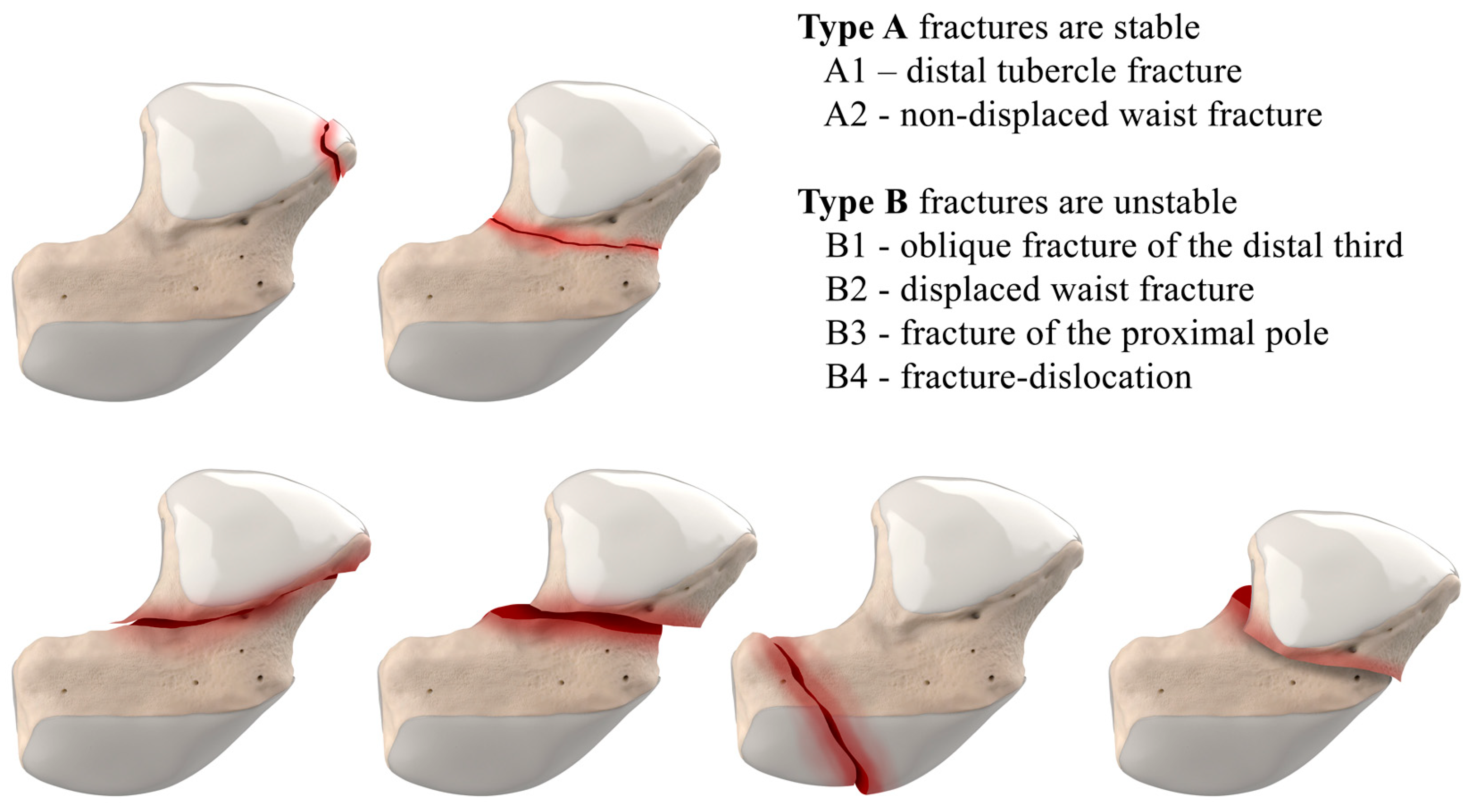 Preprints 72000 g002