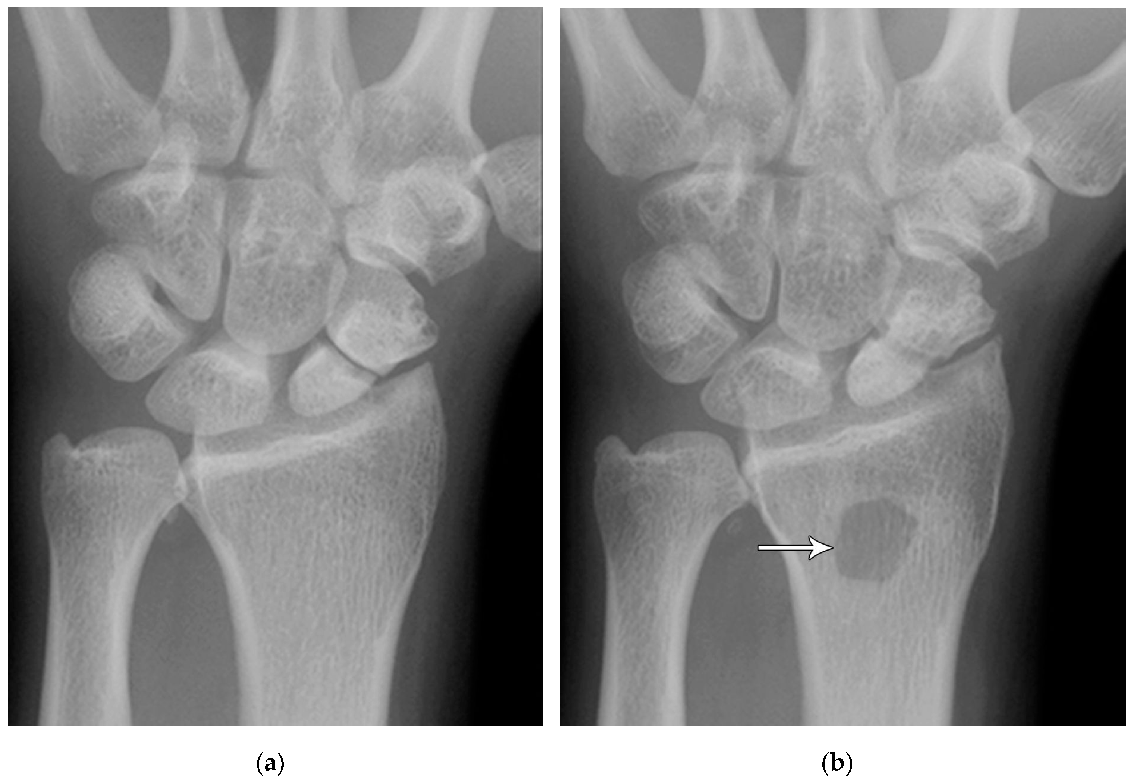 Preprints 72000 g009
