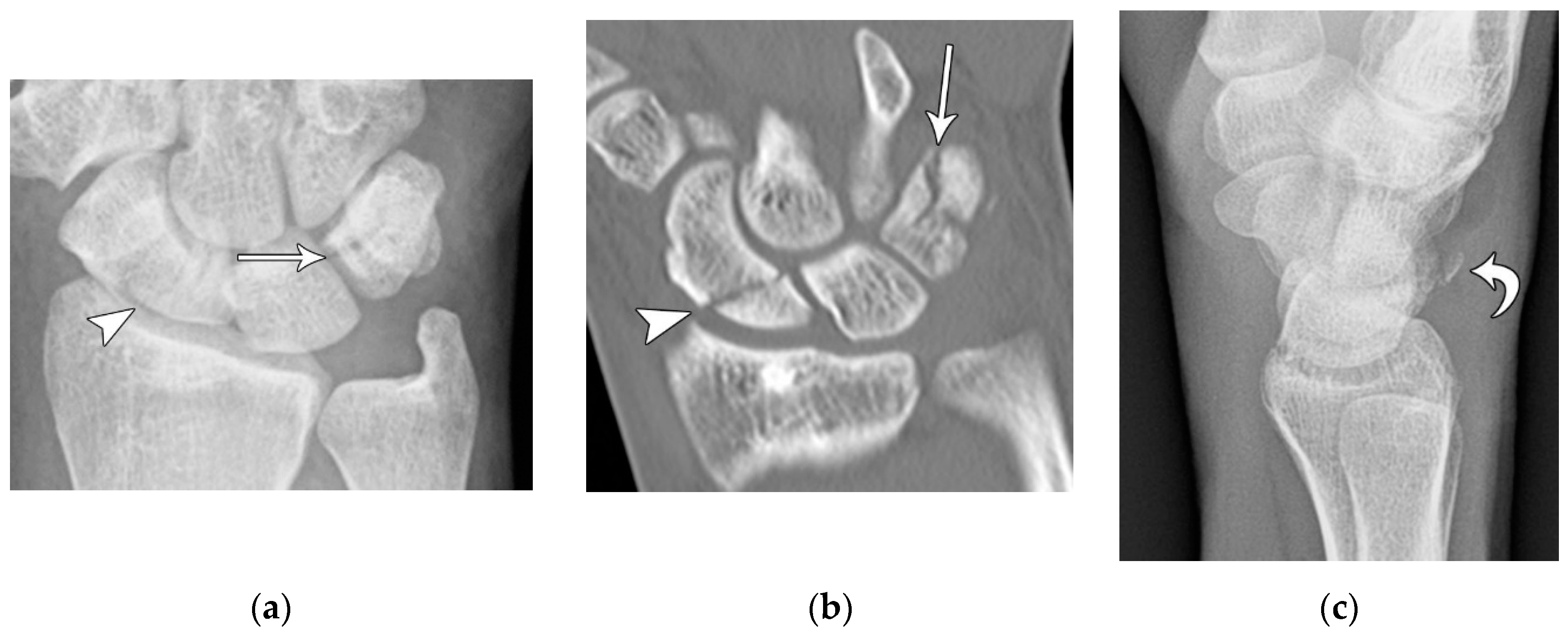 Preprints 72000 g010