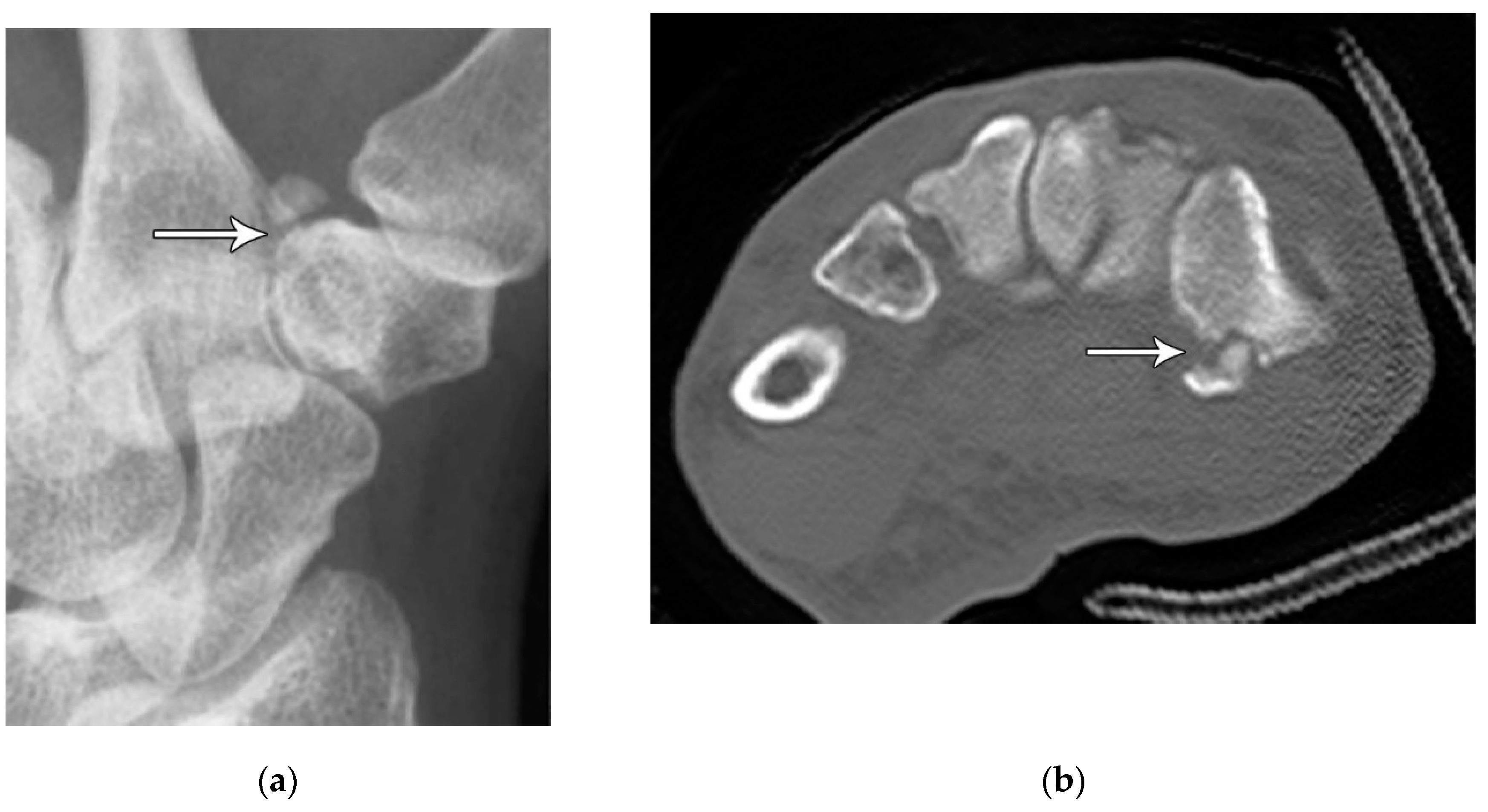 Preprints 72000 g012
