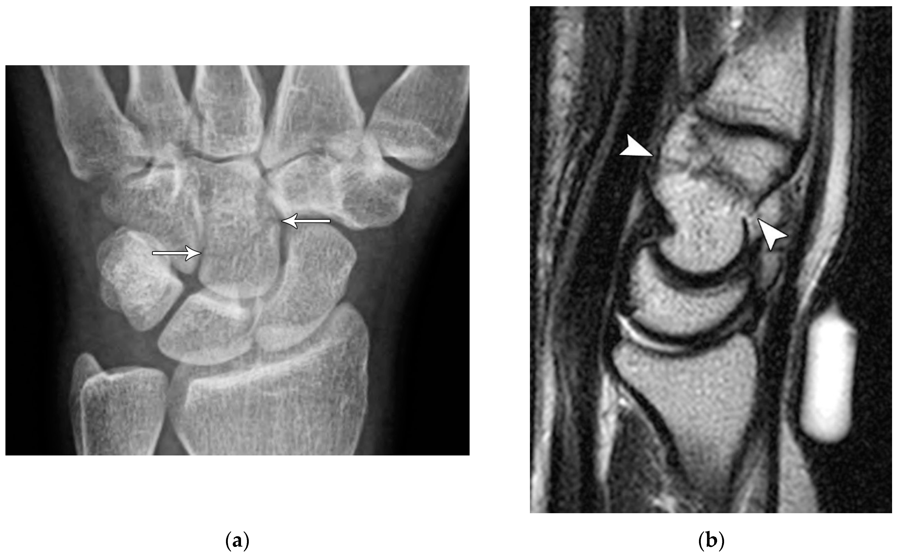 Preprints 72000 g015
