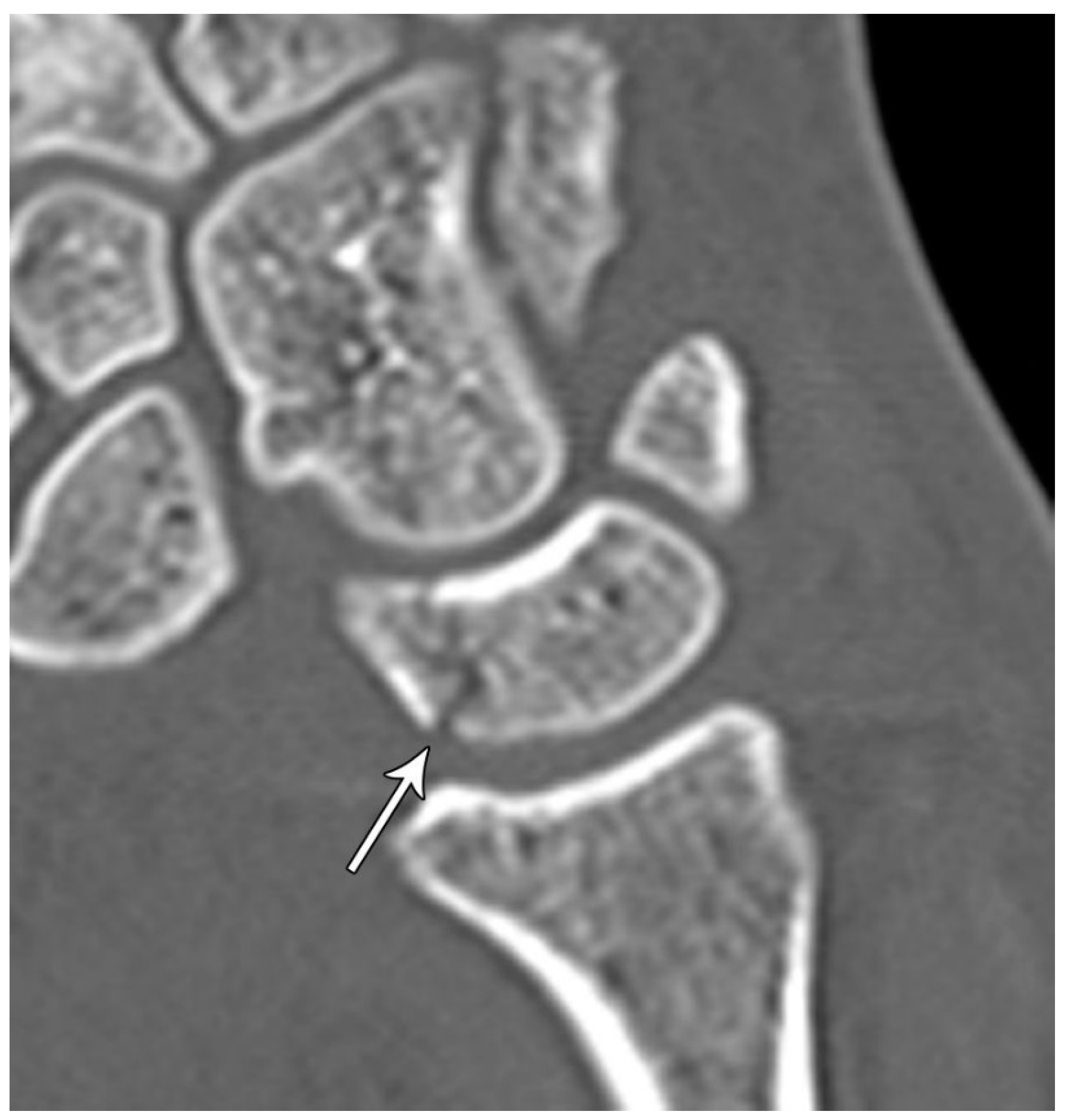 Preprints 72000 g016