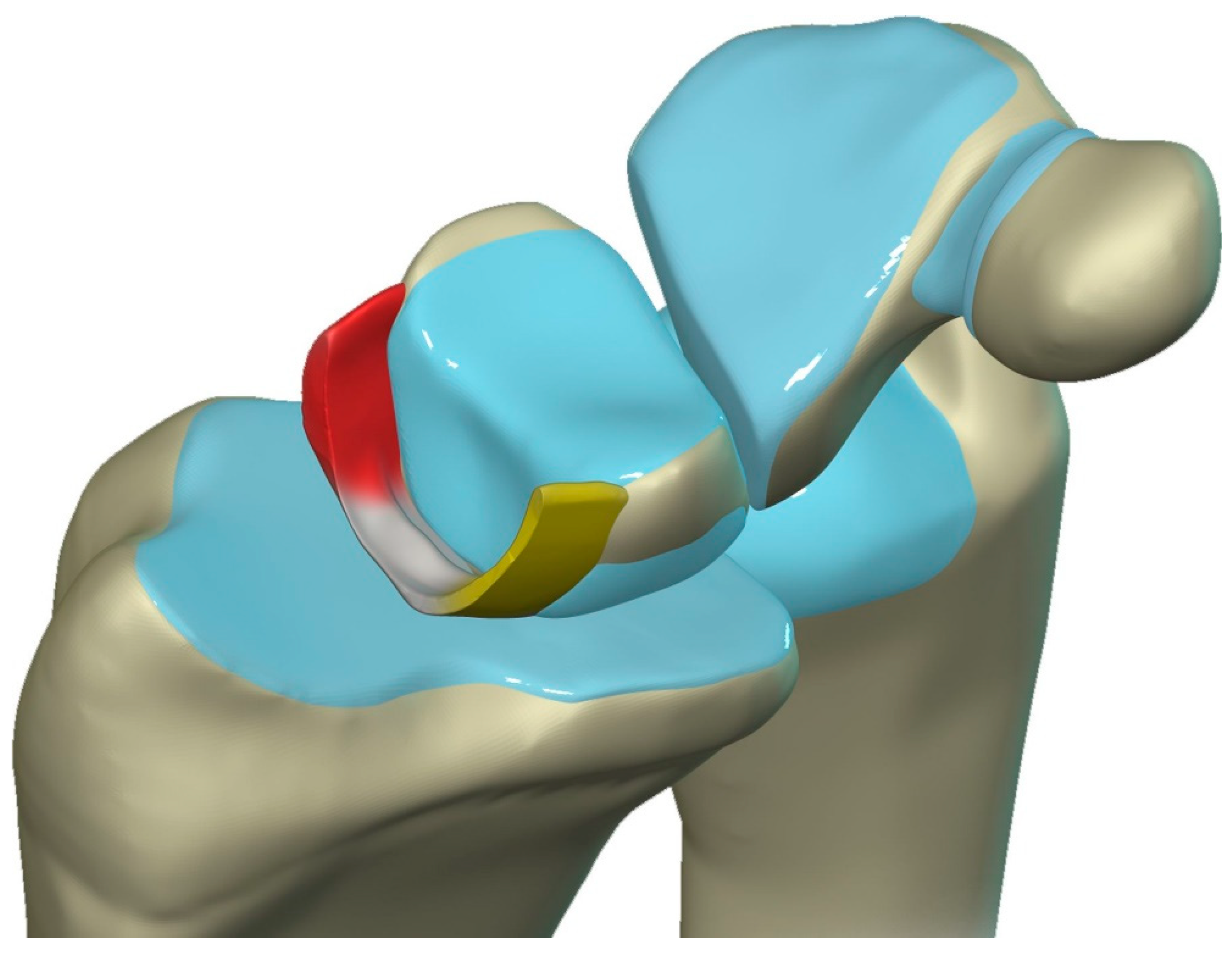 Preprints 72000 g020
