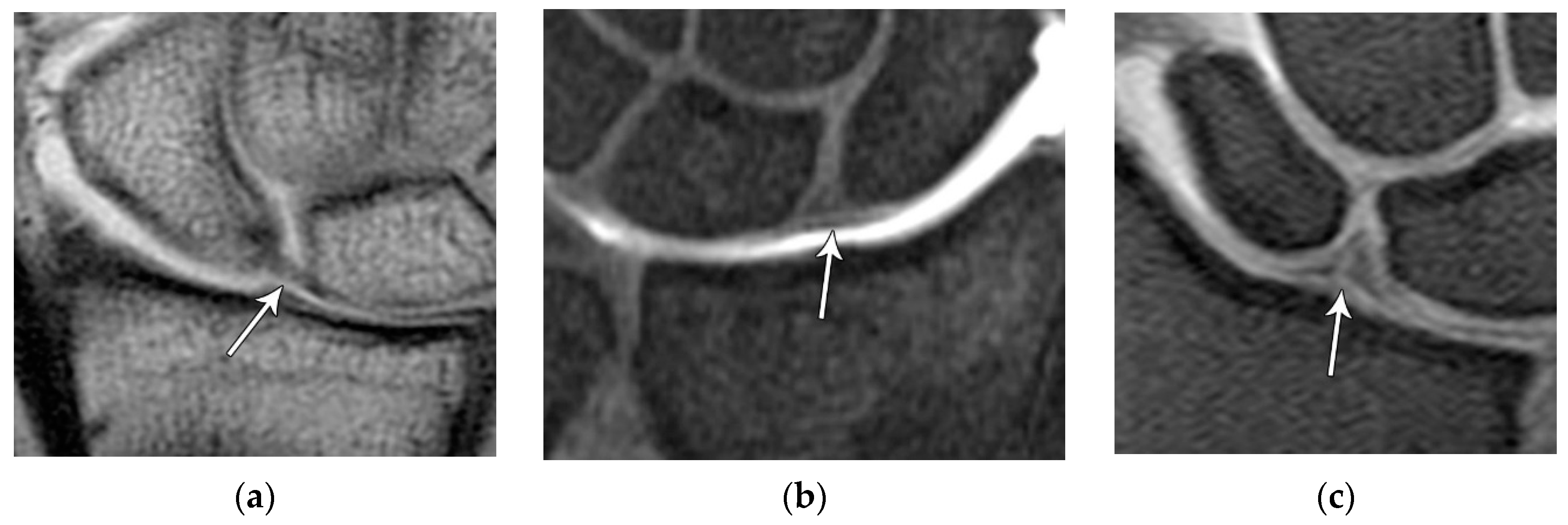 Preprints 72000 g021