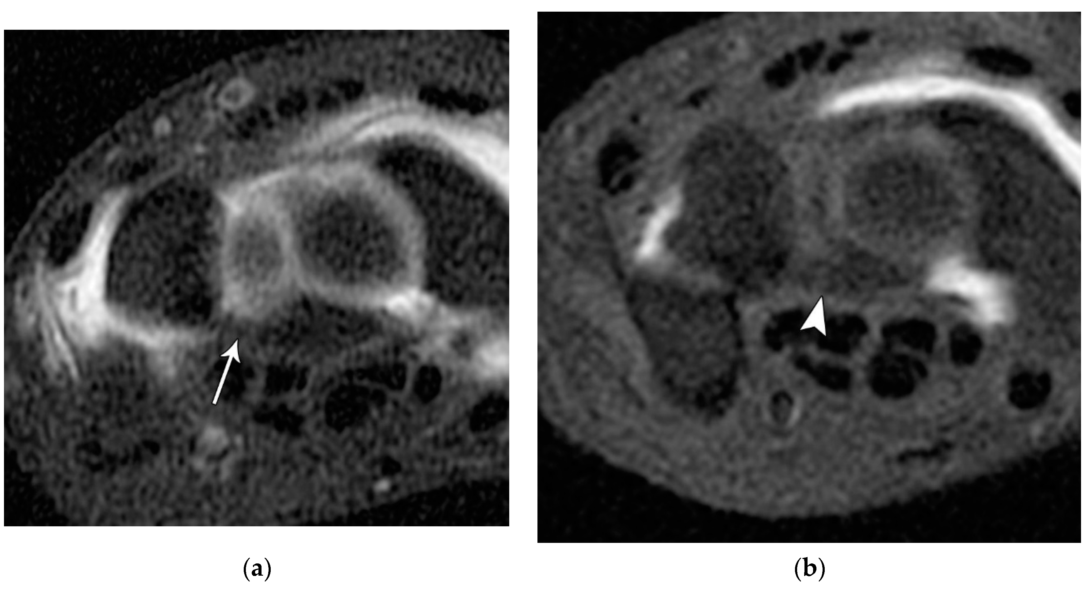 Preprints 72000 g024